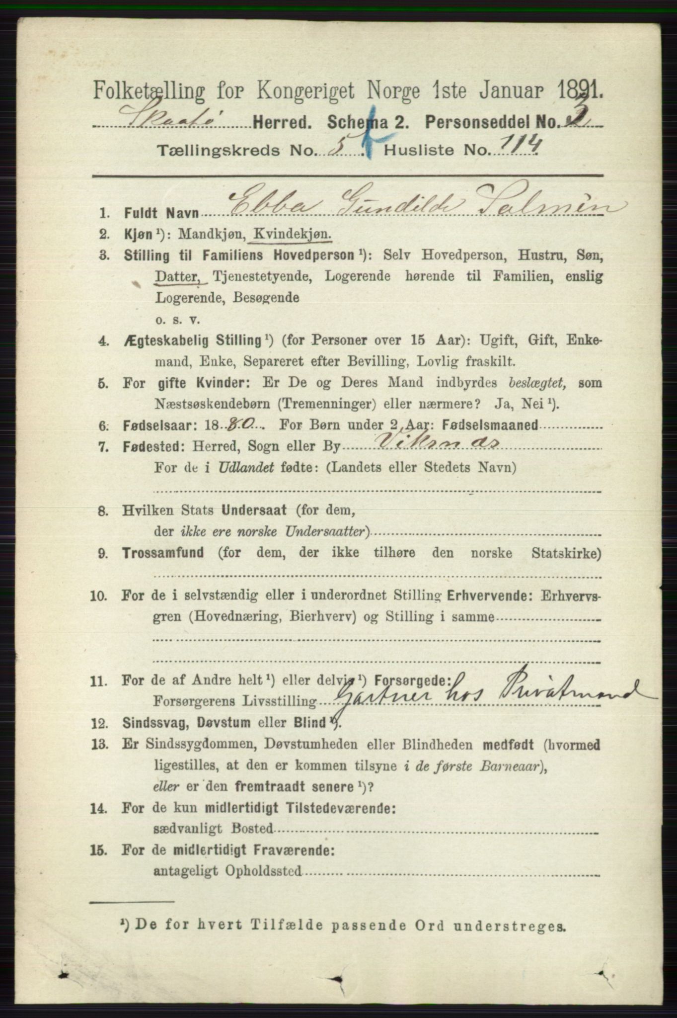 RA, 1891 census for 0815 Skåtøy, 1891, p. 2631