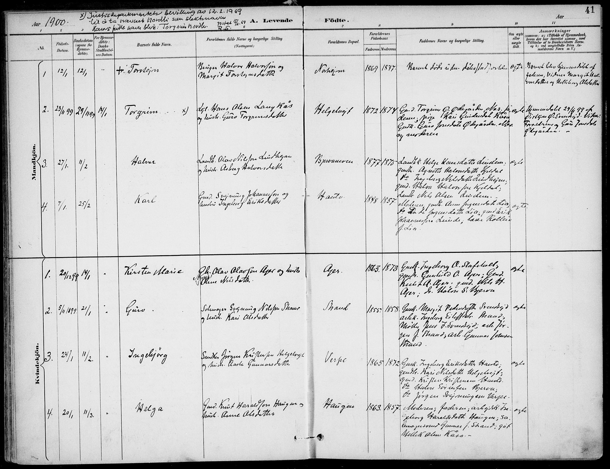 Lunde kirkebøker, AV/SAKO-A-282/F/Fa/L0003: Parish register (official) no. I 3, 1893-1902, p. 41