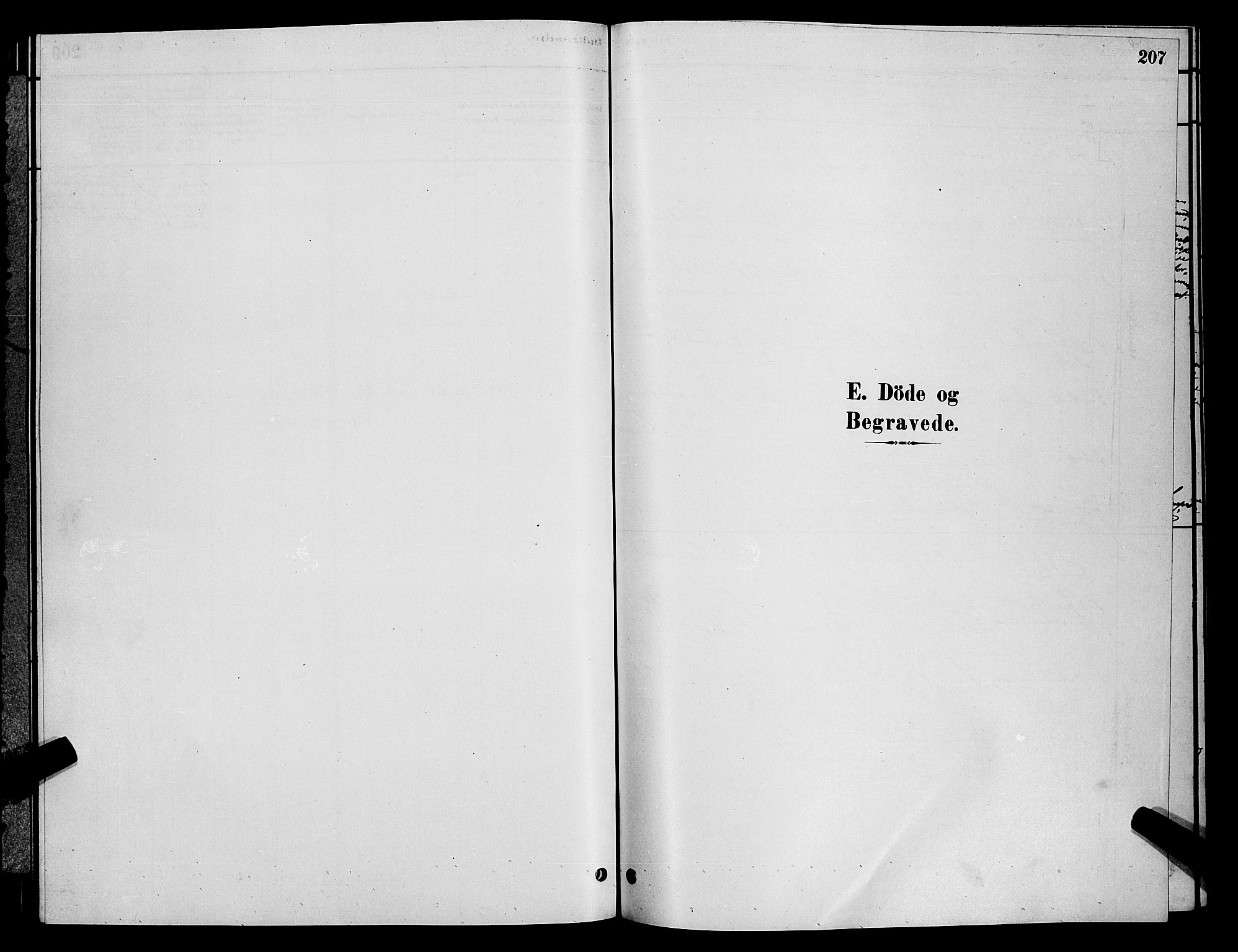 Vardø sokneprestkontor, SATØ/S-1332/H/Hb/L0004klokker: Parish register (copy) no. 4, 1879-1887, p. 207