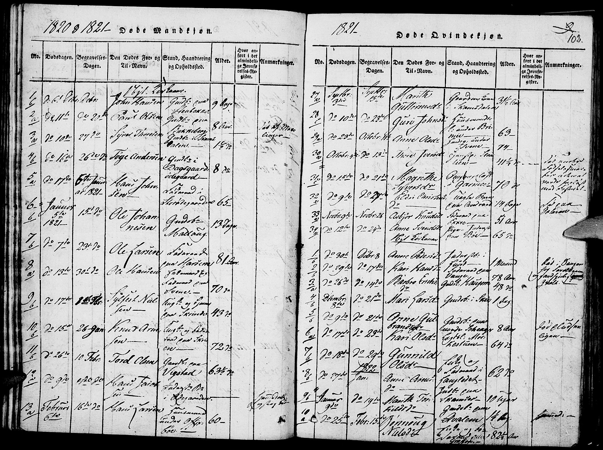 Lom prestekontor, SAH/PREST-070/K/L0004: Parish register (official) no. 4, 1815-1825, p. 102