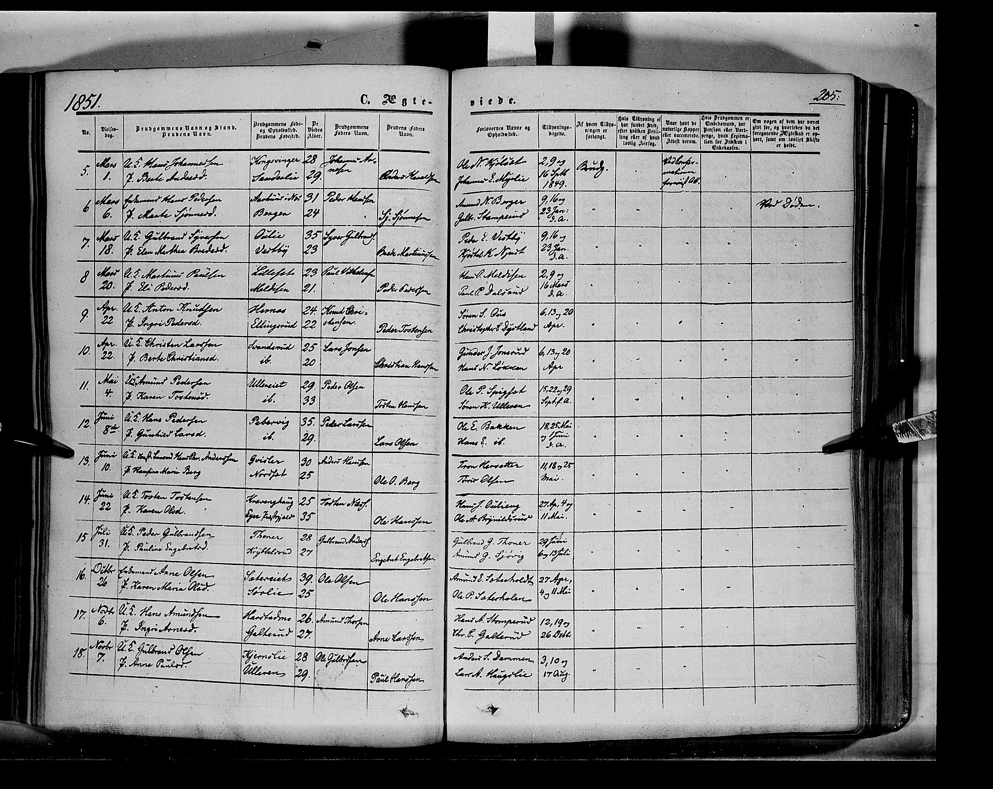 Sør-Odal prestekontor, AV/SAH-PREST-030/H/Ha/Haa/L0001: Parish register (official) no. 1, 1849-1859, p. 205