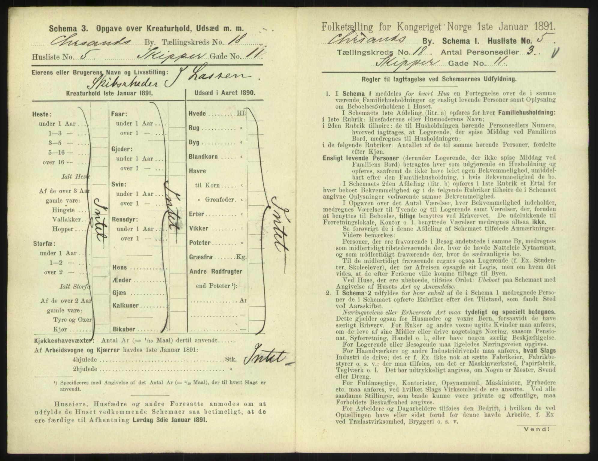 RA, 1891 census for 1001 Kristiansand, 1891, p. 1078