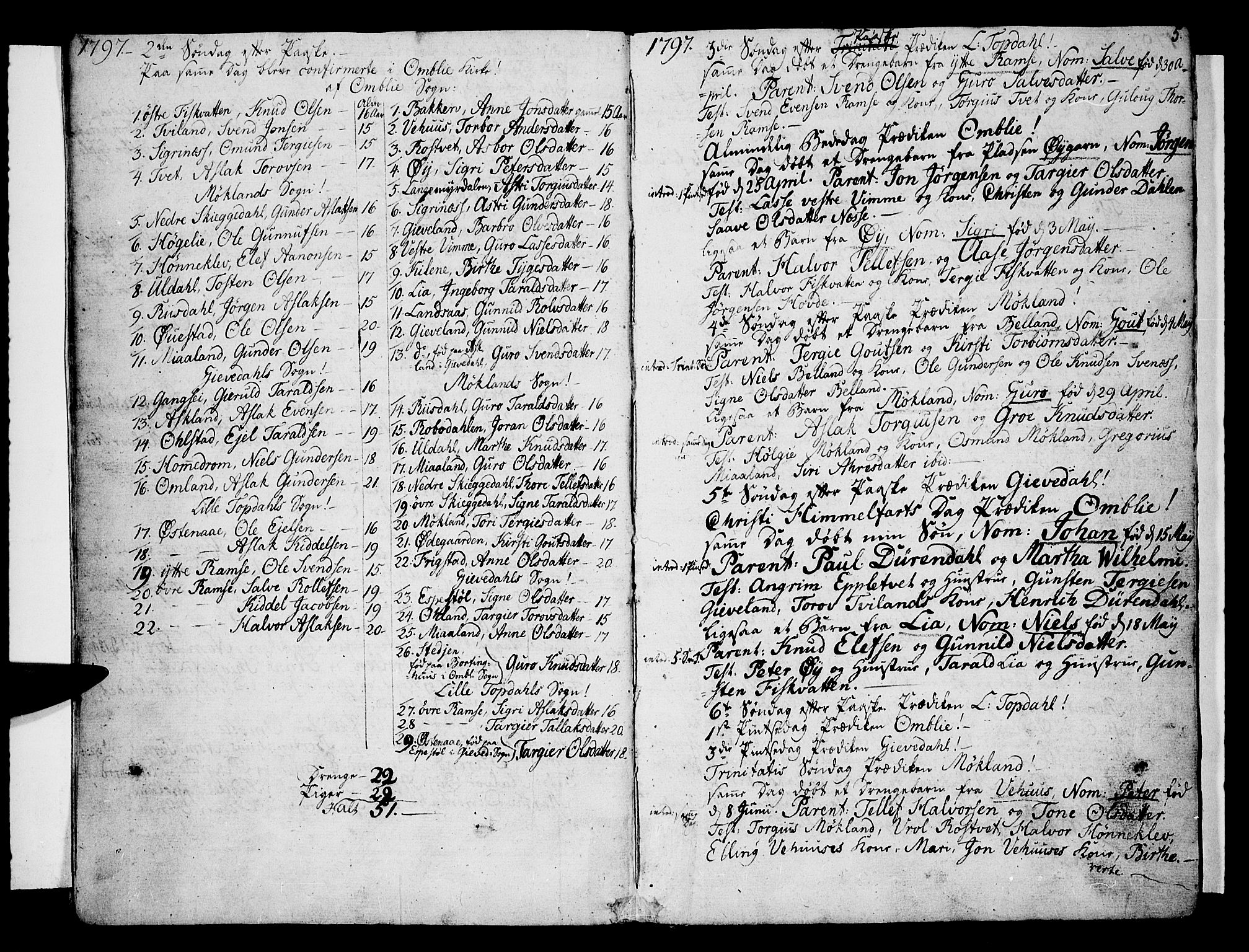 Åmli sokneprestkontor, AV/SAK-1111-0050/F/Fa/Fac/L0005: Parish register (official) no. A 5, 1796-1816, p. 5
