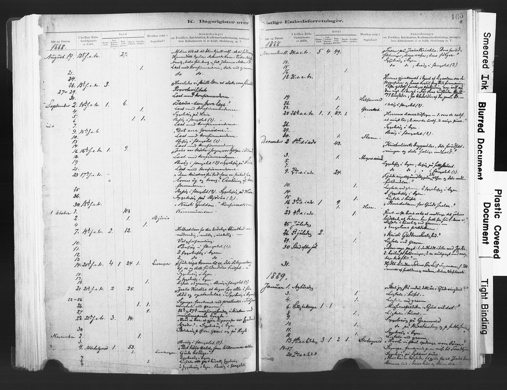 Ministerialprotokoller, klokkerbøker og fødselsregistre - Nord-Trøndelag, SAT/A-1458/720/L0189: Parish register (official) no. 720A05, 1880-1911, p. 165