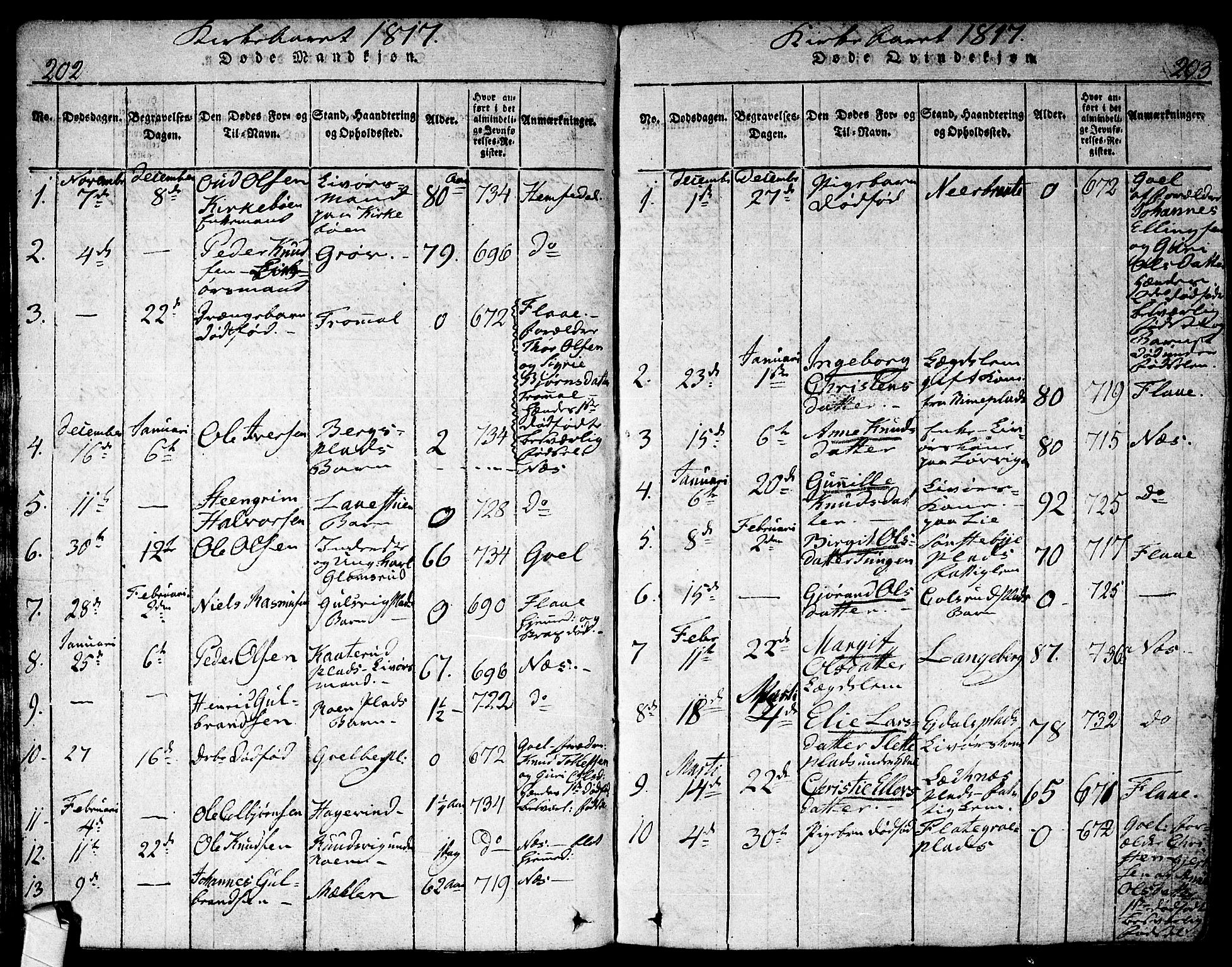 Nes kirkebøker, AV/SAKO-A-236/F/Fa/L0007: Parish register (official) no. 7, 1815-1823, p. 202-203