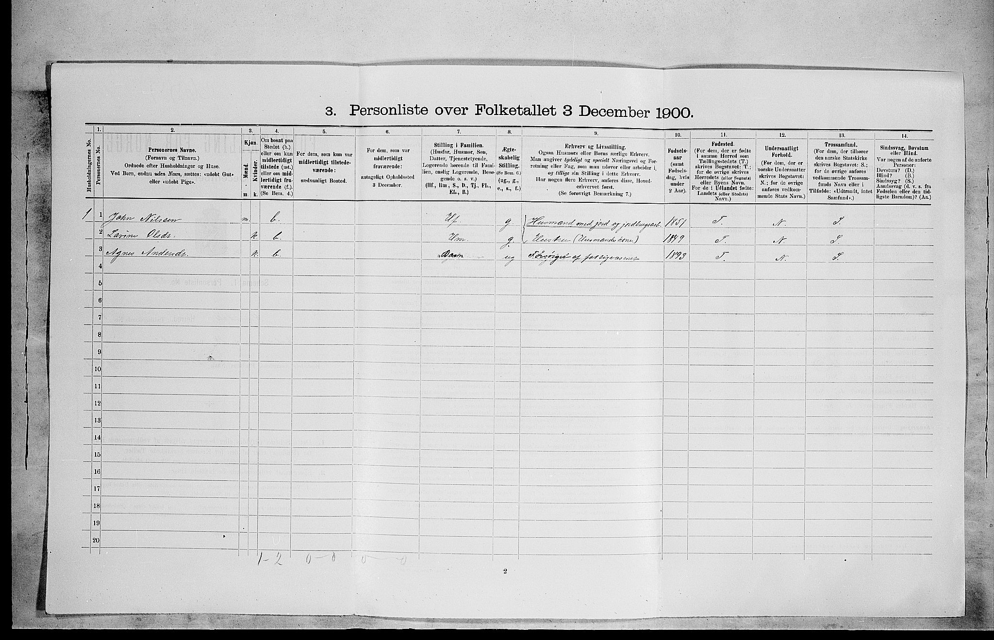 SAH, 1900 census for Romedal, 1900, p. 250