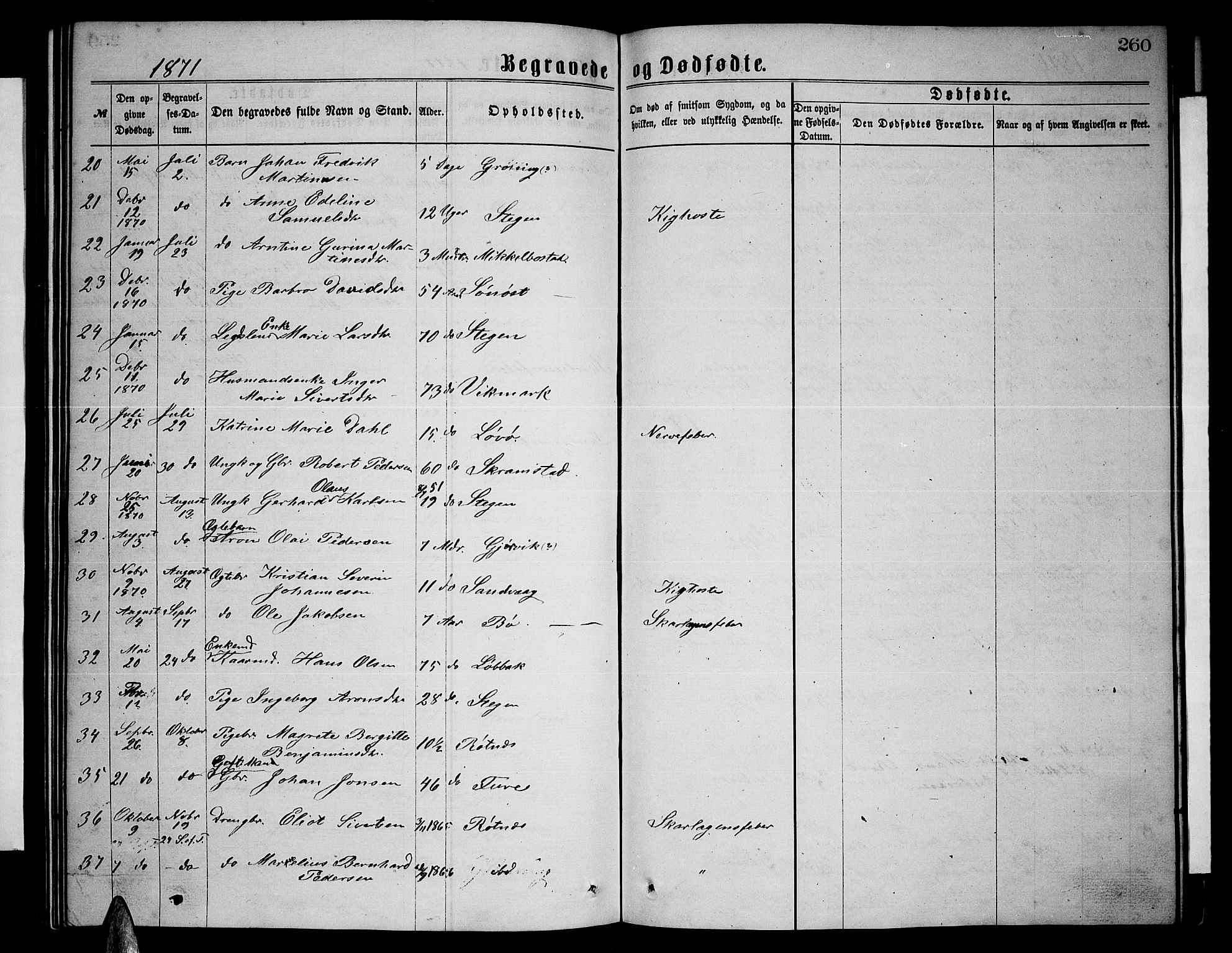 Ministerialprotokoller, klokkerbøker og fødselsregistre - Nordland, AV/SAT-A-1459/855/L0815: Parish register (copy) no. 855C04, 1865-1878, p. 260