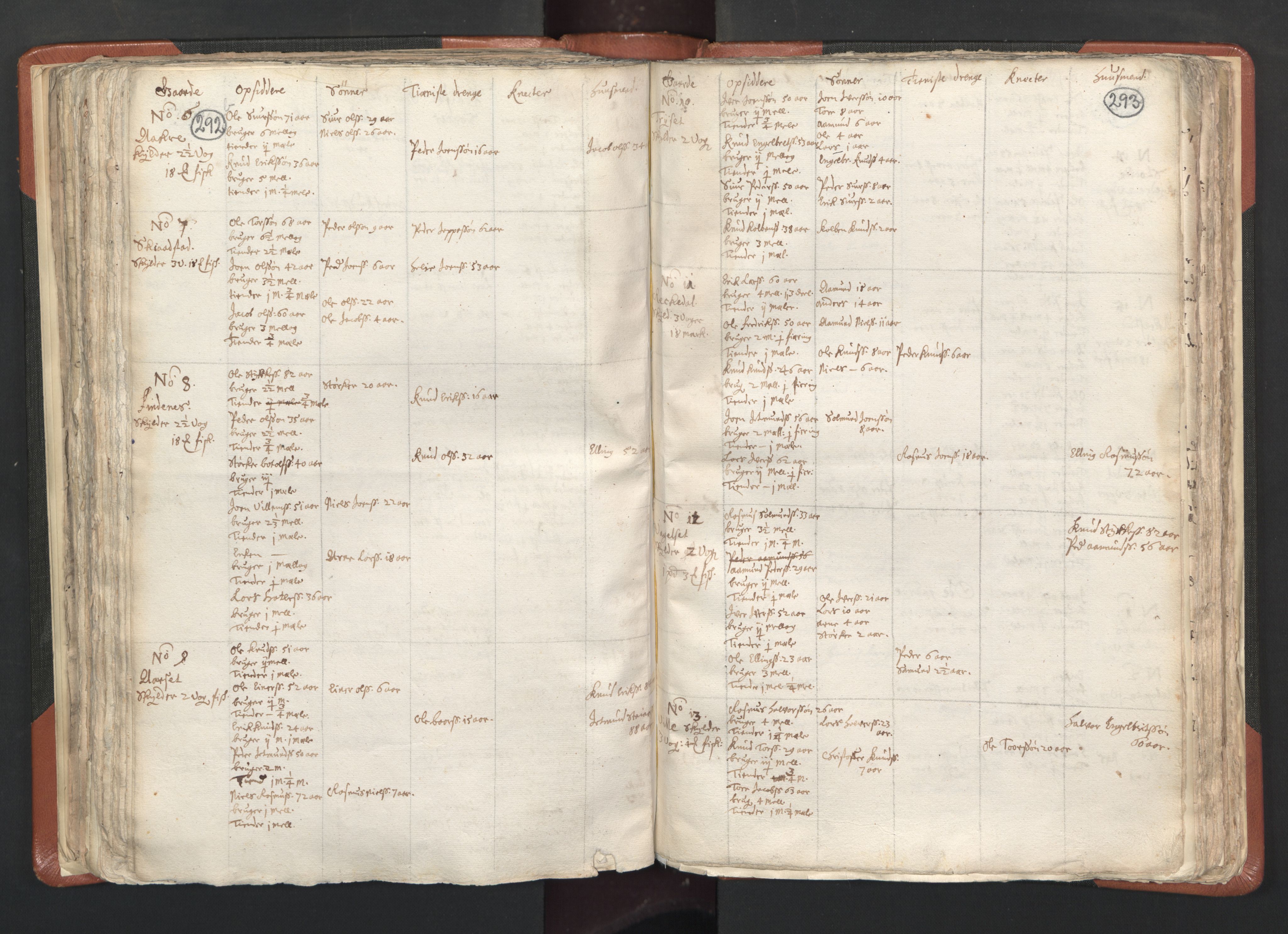 RA, Vicar's Census 1664-1666, no. 26: Sunnmøre deanery, 1664-1666, p. 292-293