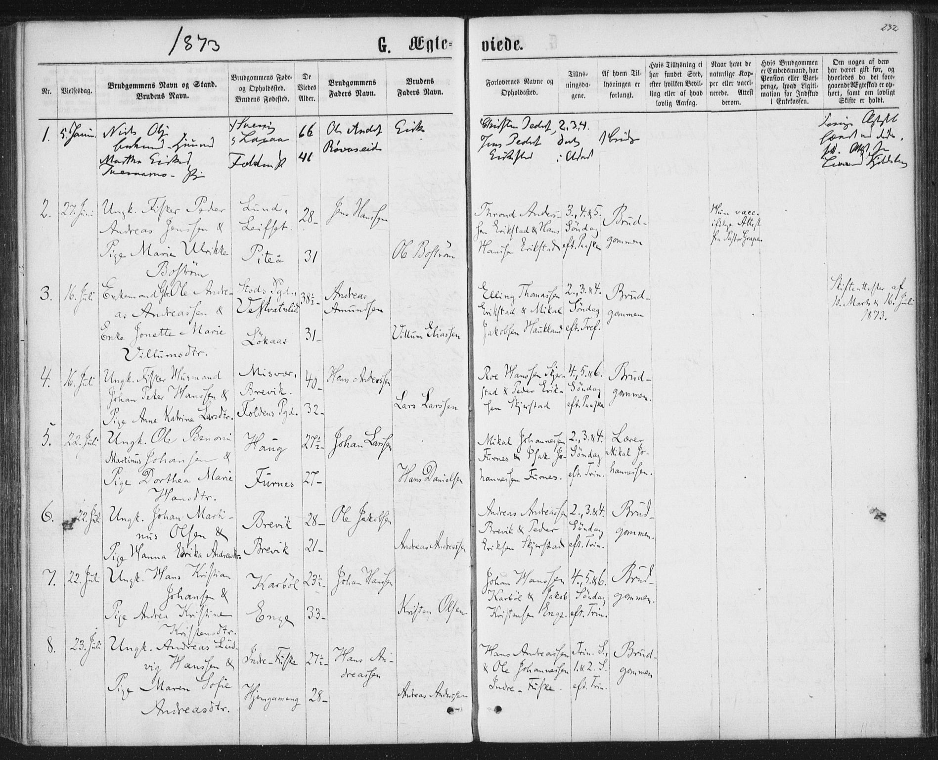 Ministerialprotokoller, klokkerbøker og fødselsregistre - Nordland, SAT/A-1459/852/L0739: Parish register (official) no. 852A09, 1866-1877, p. 232