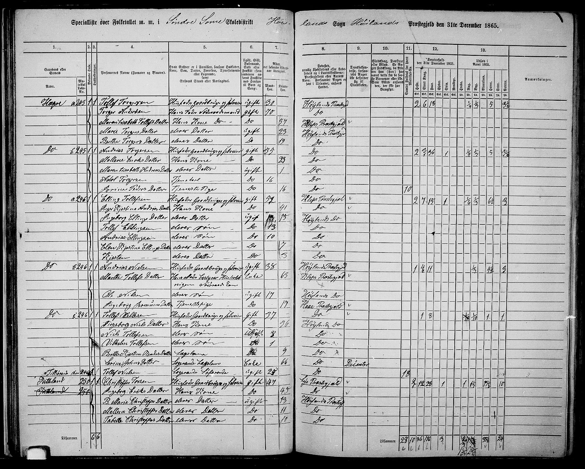 RA, 1865 census for Høyland, 1865, p. 39