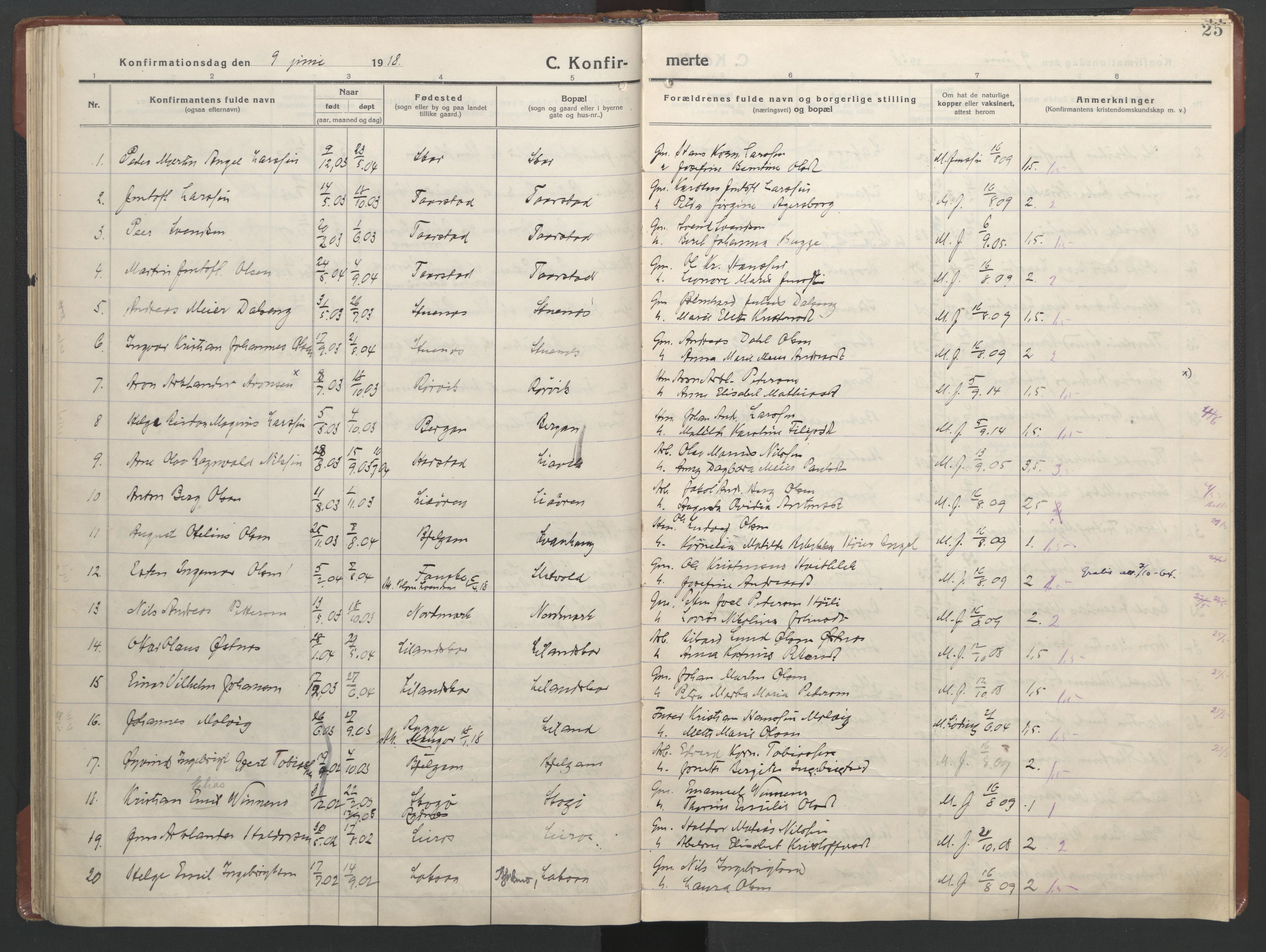 Ministerialprotokoller, klokkerbøker og fødselsregistre - Nordland, AV/SAT-A-1459/863/L0918: Parish register (copy) no. 863C08, 1906-1921, p. 25