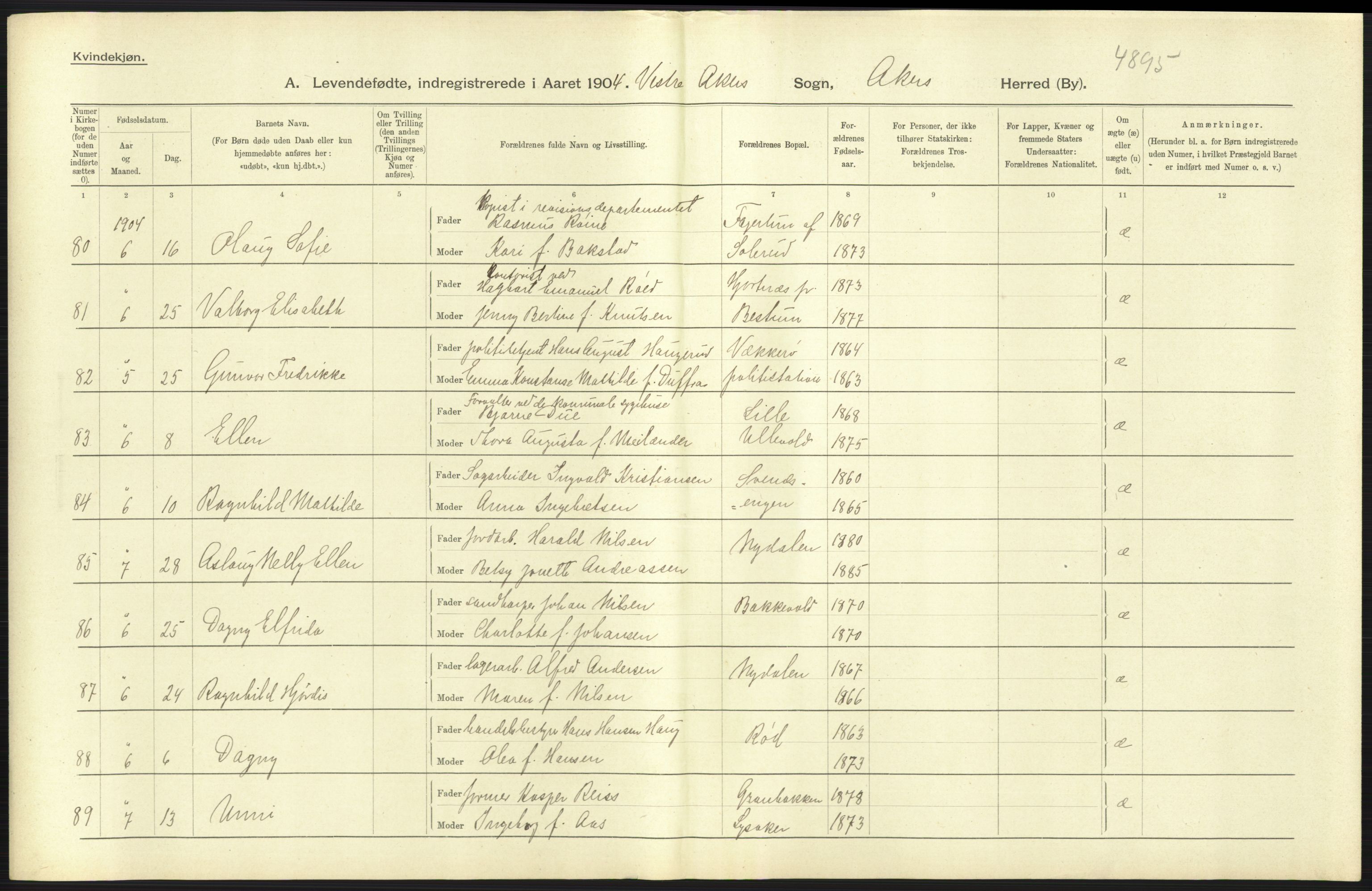 Statistisk sentralbyrå, Sosiodemografiske emner, Befolkning, AV/RA-S-2228/D/Df/Dfa/Dfab/L0002: Akershus amt: Fødte, gifte, døde, 1904, p. 411