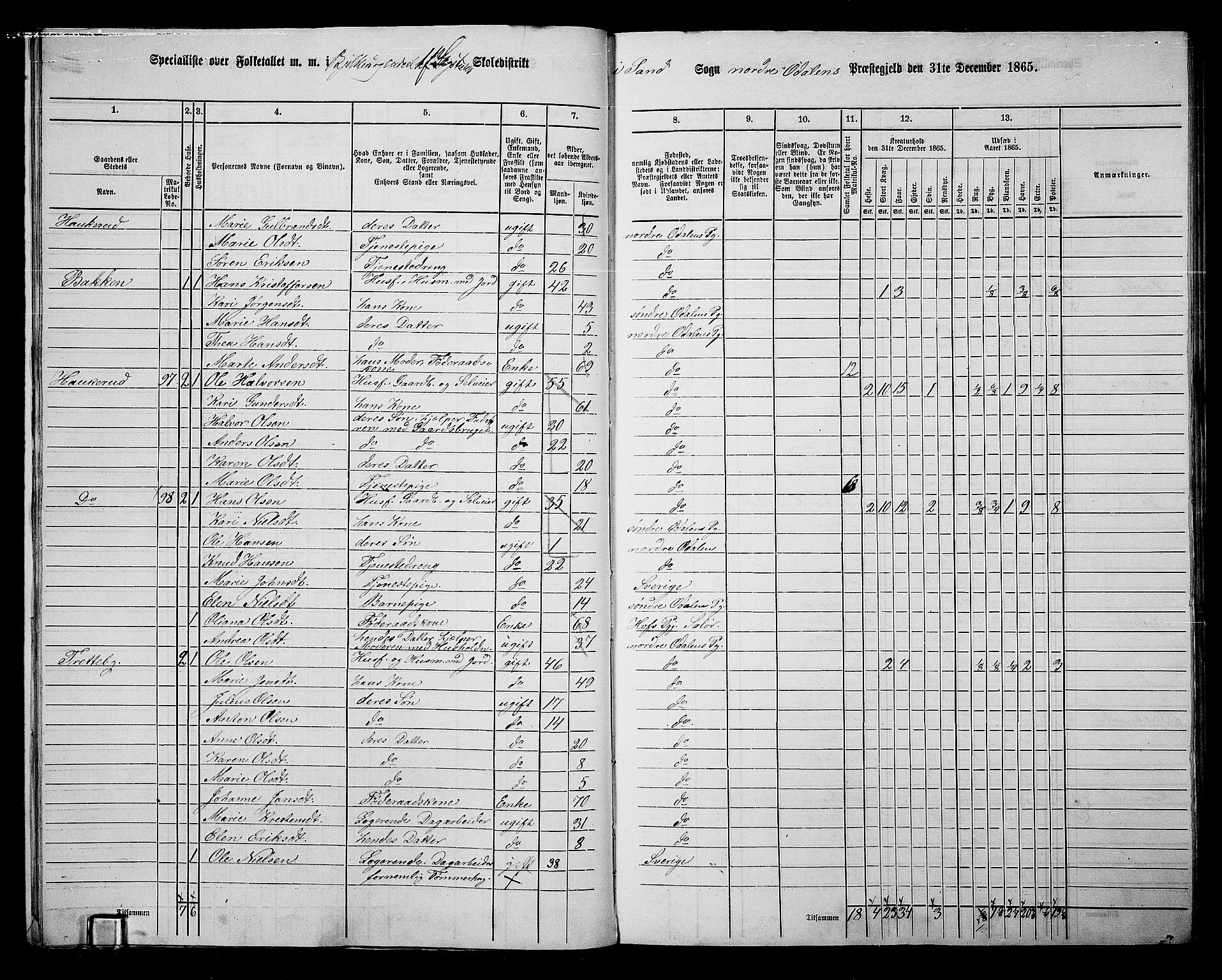 RA, 1865 census for Nord-Odal, 1865, p. 14