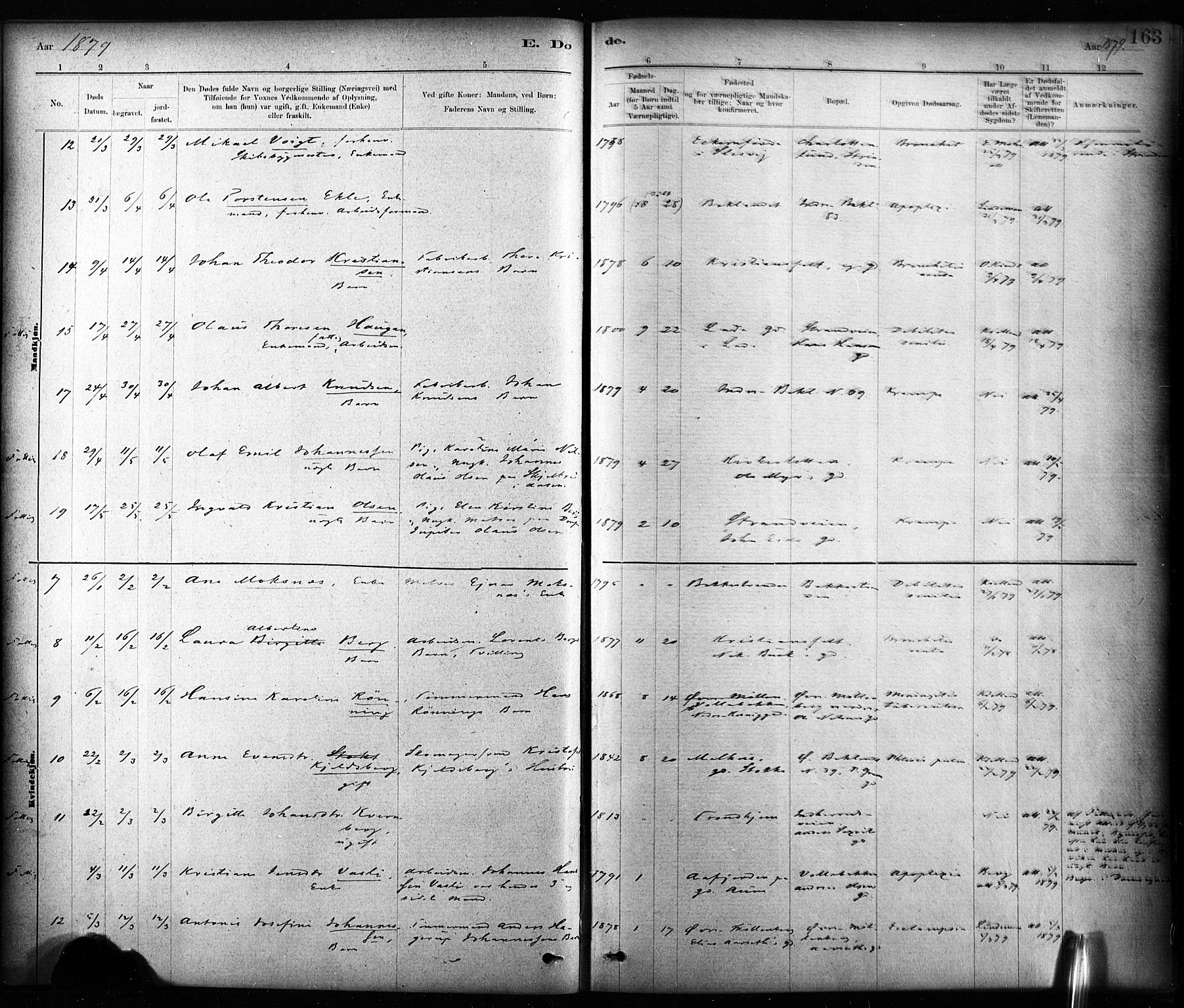 Ministerialprotokoller, klokkerbøker og fødselsregistre - Sør-Trøndelag, AV/SAT-A-1456/604/L0189: Parish register (official) no. 604A10, 1878-1892, p. 163