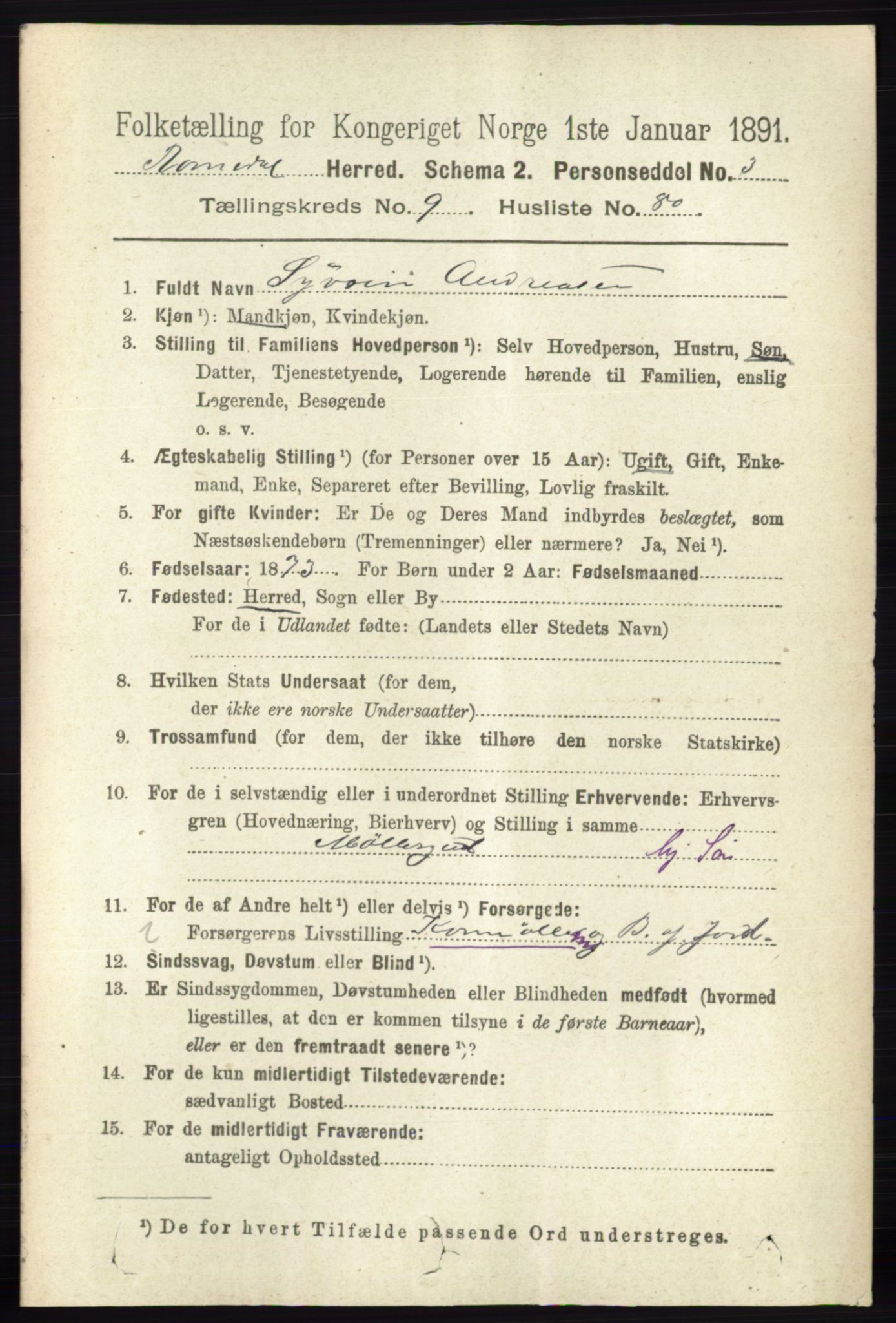 RA, 1891 census for 0416 Romedal, 1891, p. 4708