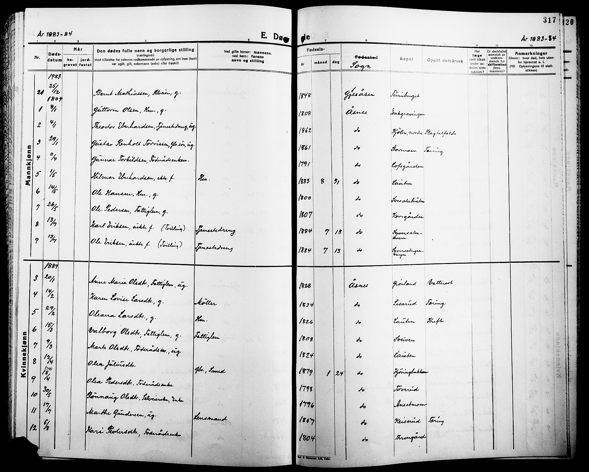 Åsnes prestekontor, SAH/PREST-042/H/Ha/Haa/L0000B: Parish register (official), 1870-1889, p. 317