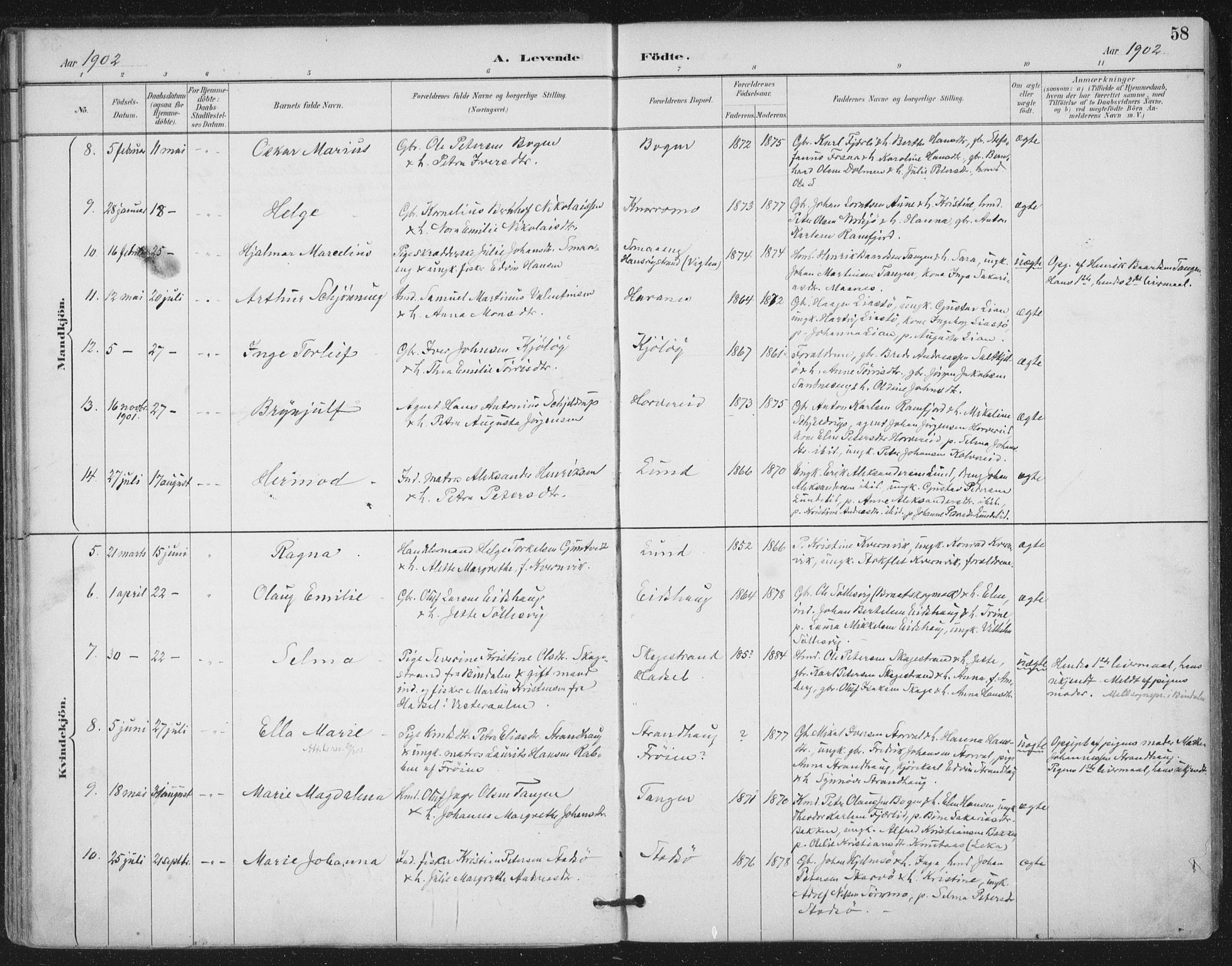 Ministerialprotokoller, klokkerbøker og fødselsregistre - Nord-Trøndelag, SAT/A-1458/780/L0644: Parish register (official) no. 780A08, 1886-1903, p. 58