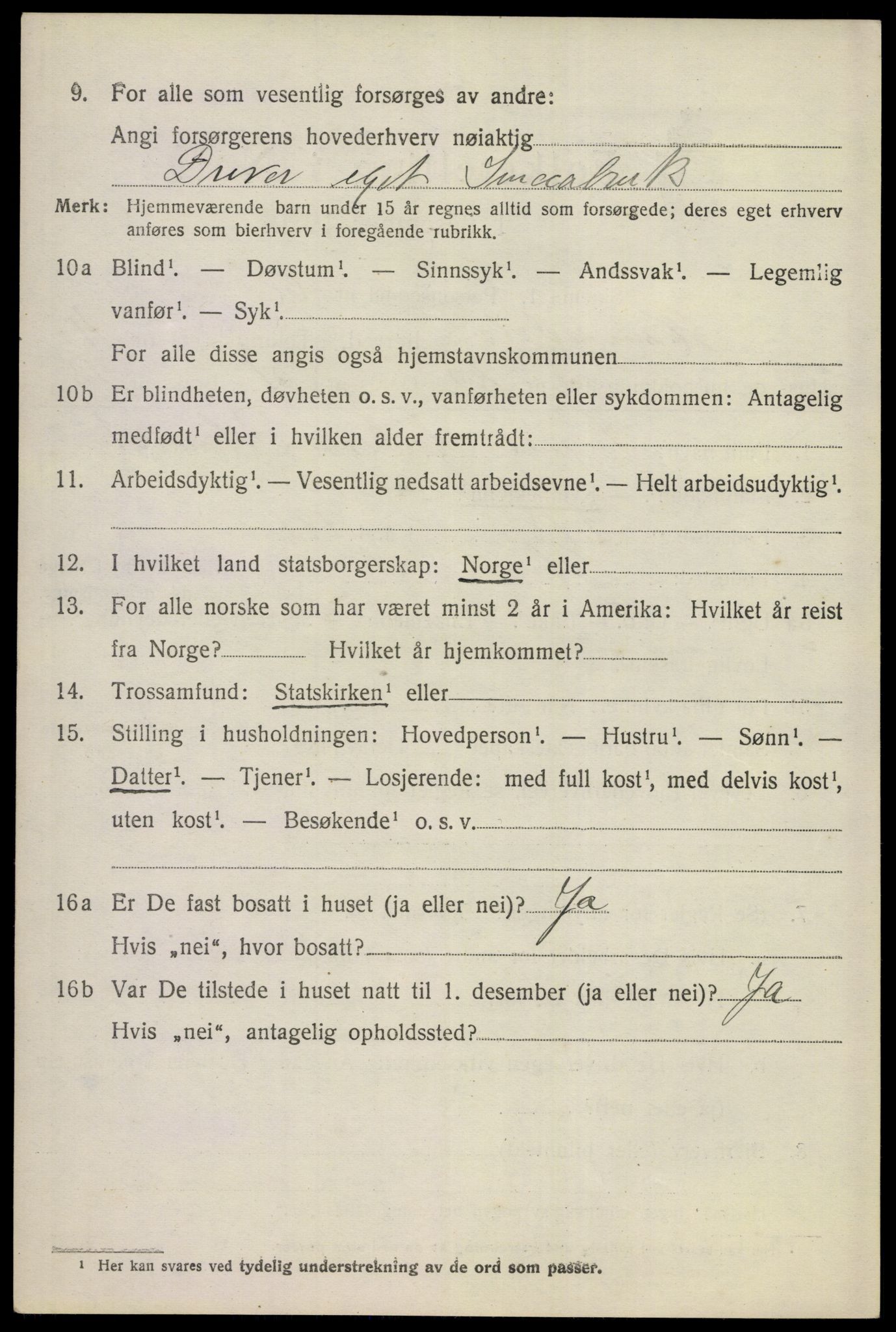 SAKO, 1920 census for Hemsedal, 1920, p. 1739