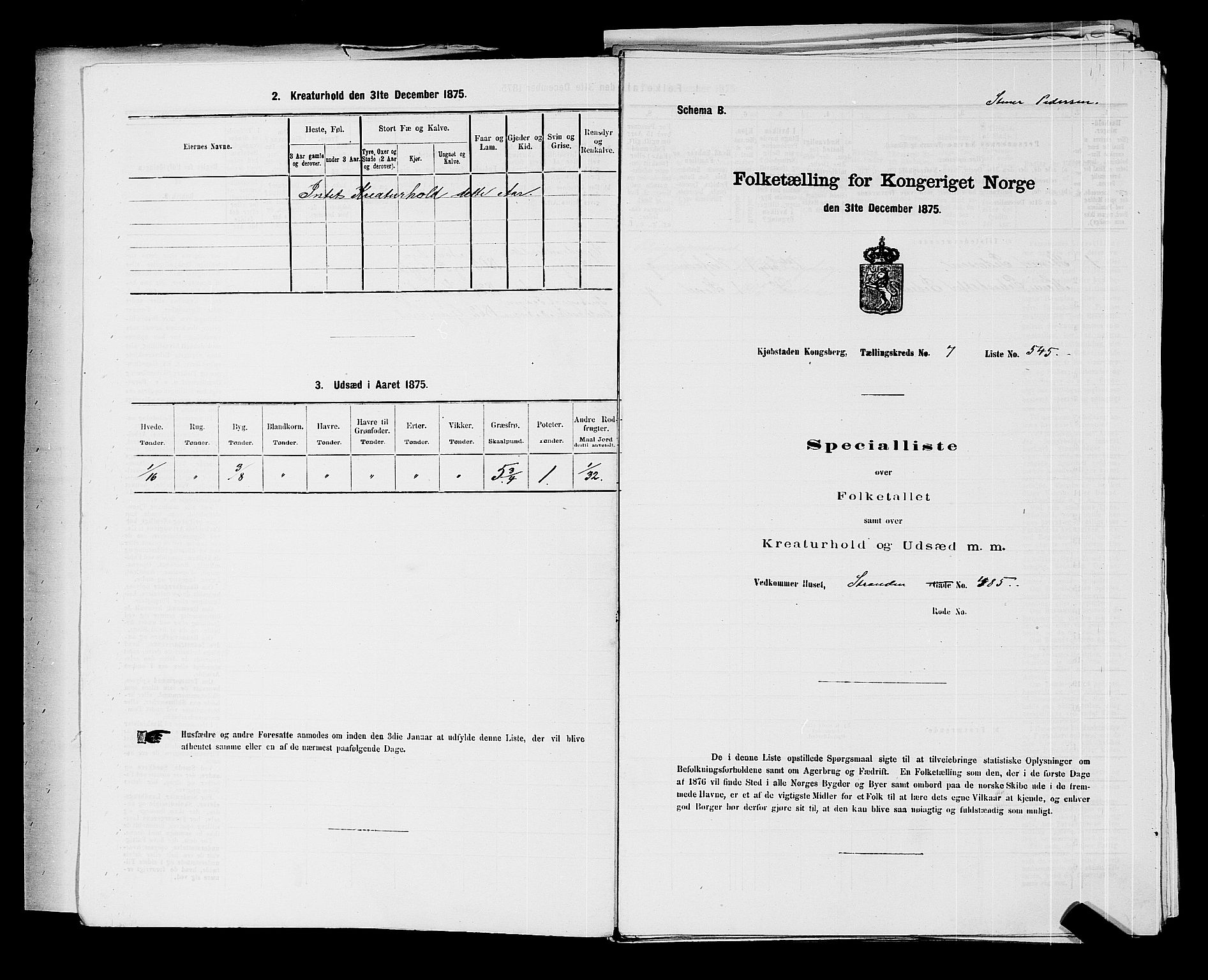 SAKO, 1875 census for 0604B Kongsberg/Kongsberg, 1875, p. 1205