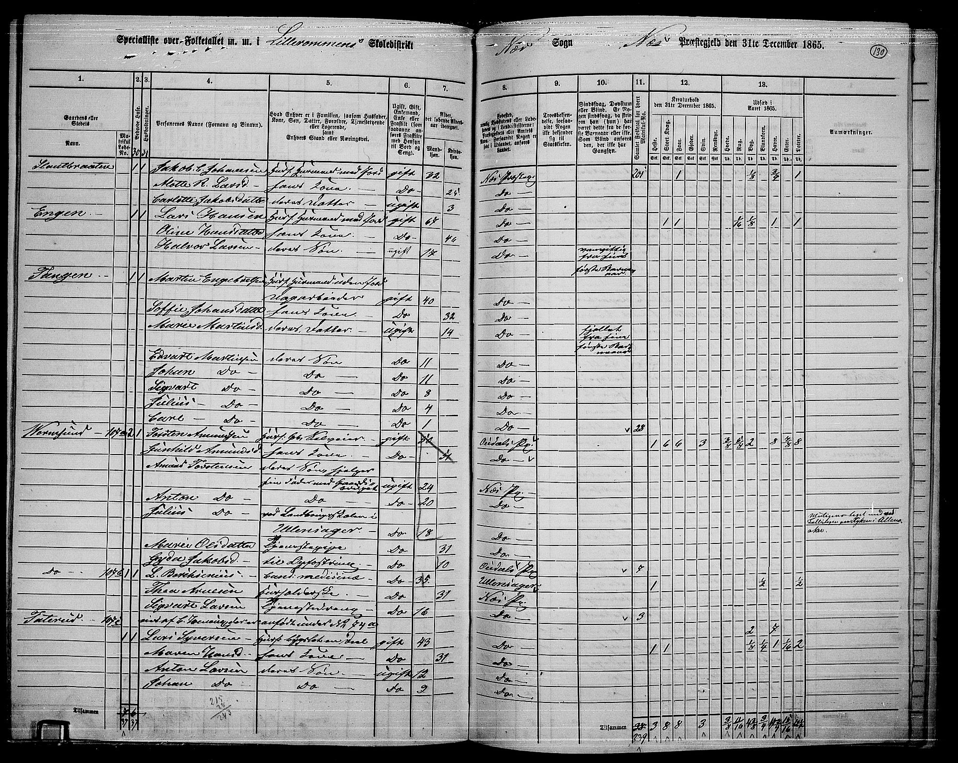 RA, 1865 census for Nes, 1865, p. 117