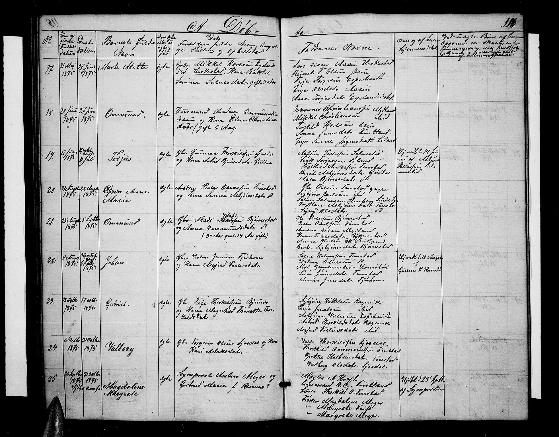 Sirdal sokneprestkontor, SAK/1111-0036/F/Fb/Fbb/L0002: Parish register (copy) no. B 2, 1848-1878, p. 116