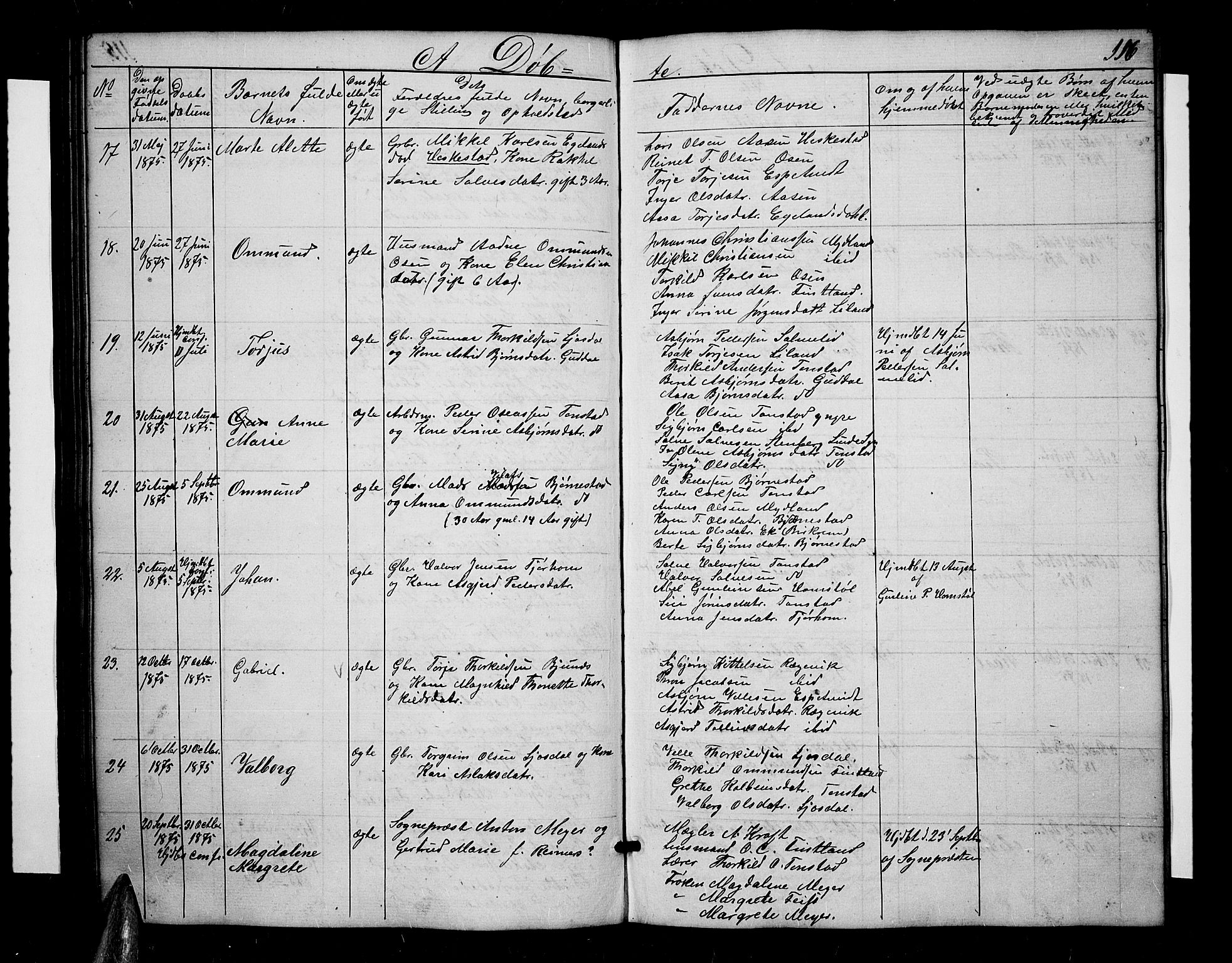 Sirdal sokneprestkontor, AV/SAK-1111-0036/F/Fb/Fbb/L0002: Parish register (copy) no. B 2, 1848-1878, p. 116