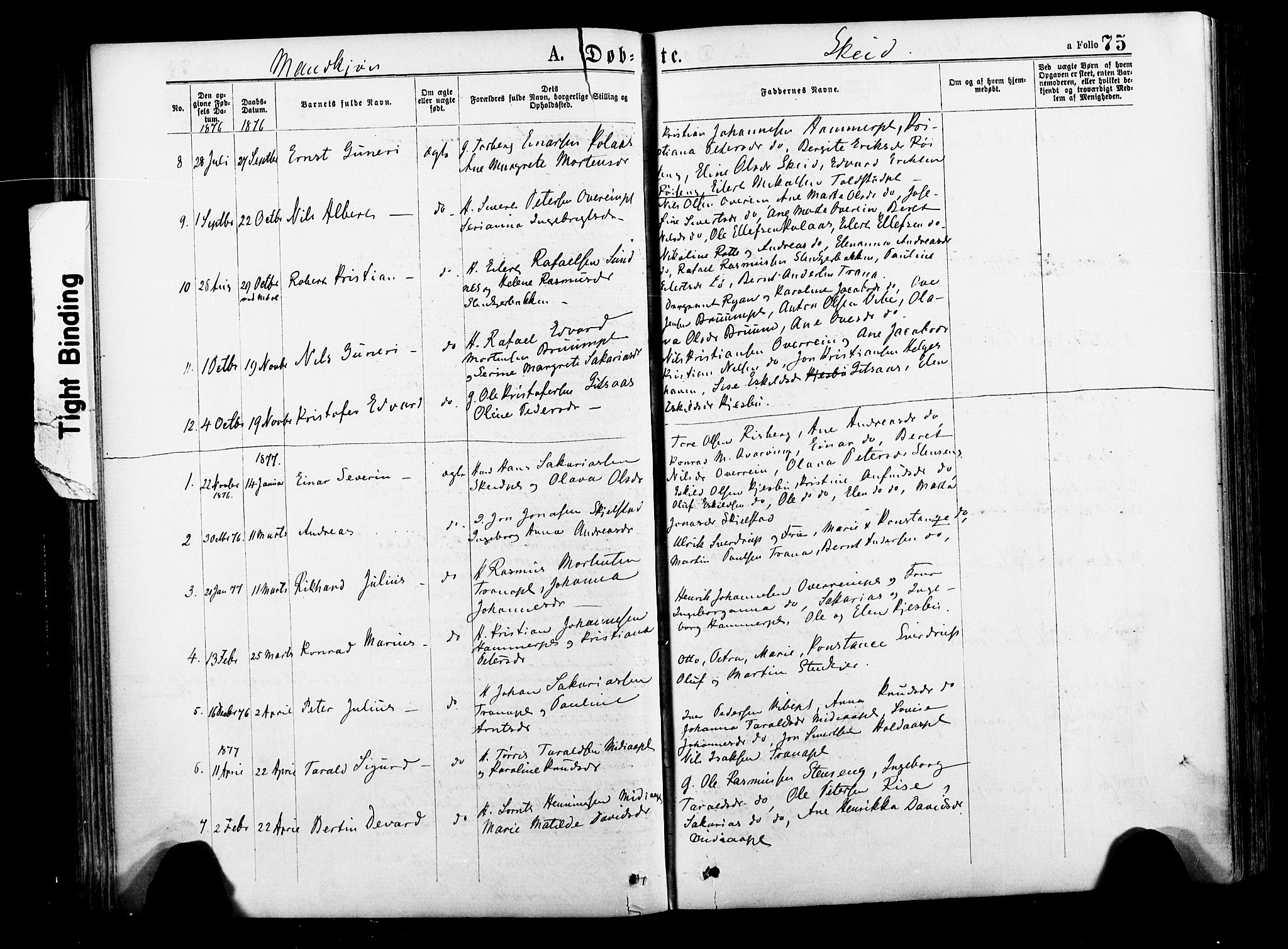 Ministerialprotokoller, klokkerbøker og fødselsregistre - Nord-Trøndelag, AV/SAT-A-1458/735/L0348: Parish register (official) no. 735A09 /2, 1873-1883, p. 75