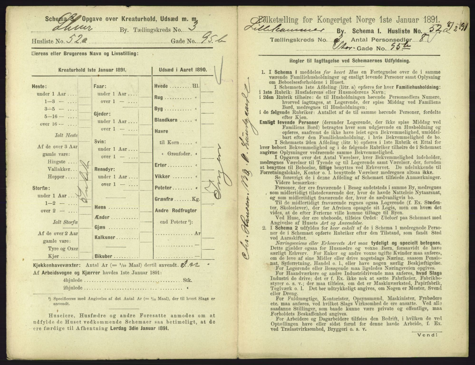 RA, 1891 census for 0501 Lillehammer, 1891, p. 523