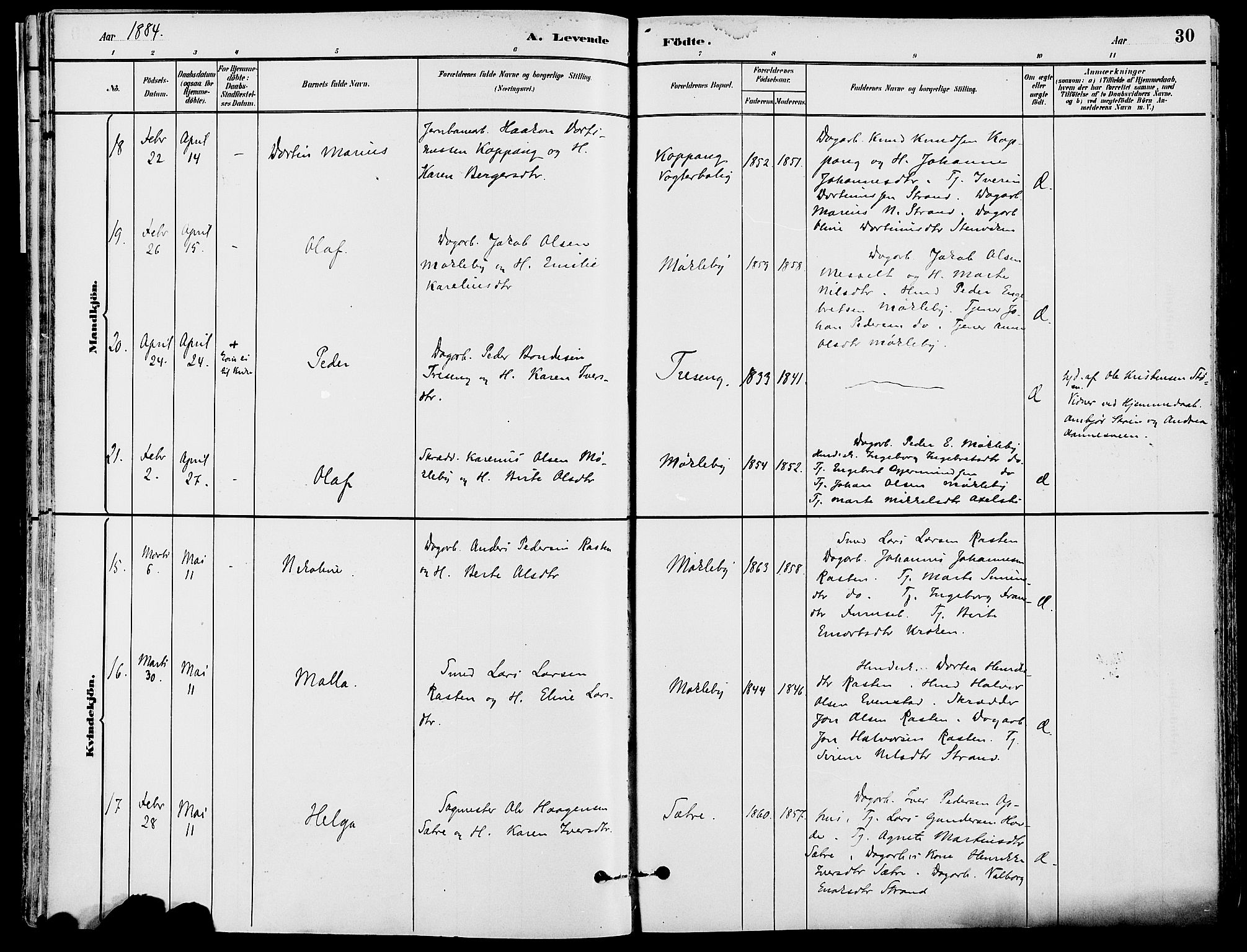 Stor-Elvdal prestekontor, AV/SAH-PREST-052/H/Ha/Haa/L0002: Parish register (official) no. 2, 1882-1907, p. 30