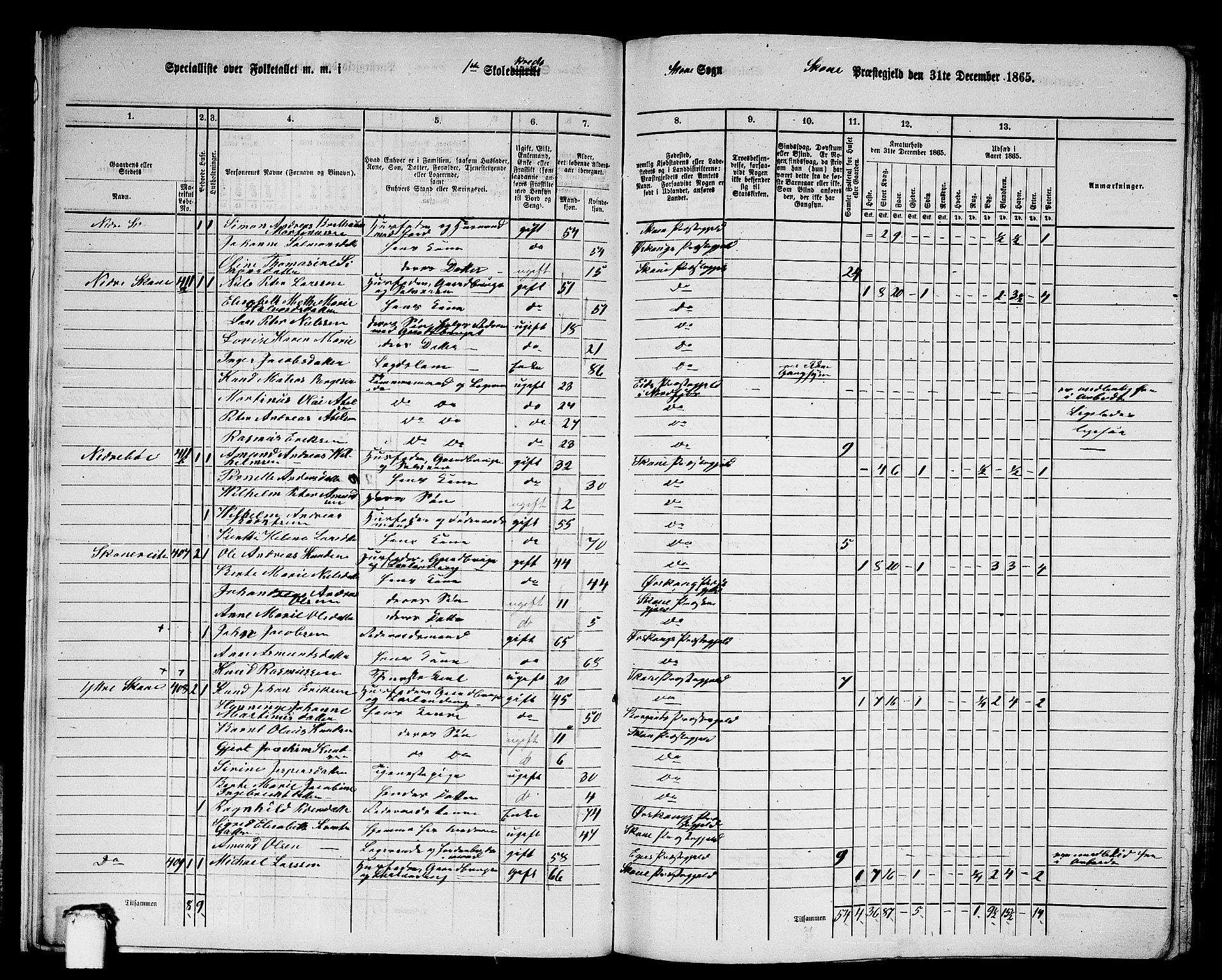 RA, 1865 census for Skodje, 1865, p. 20