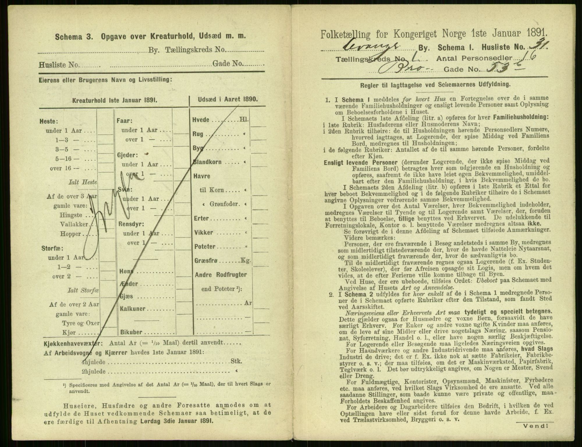 RA, 1891 census for 1701 Levanger, 1891, p. 95