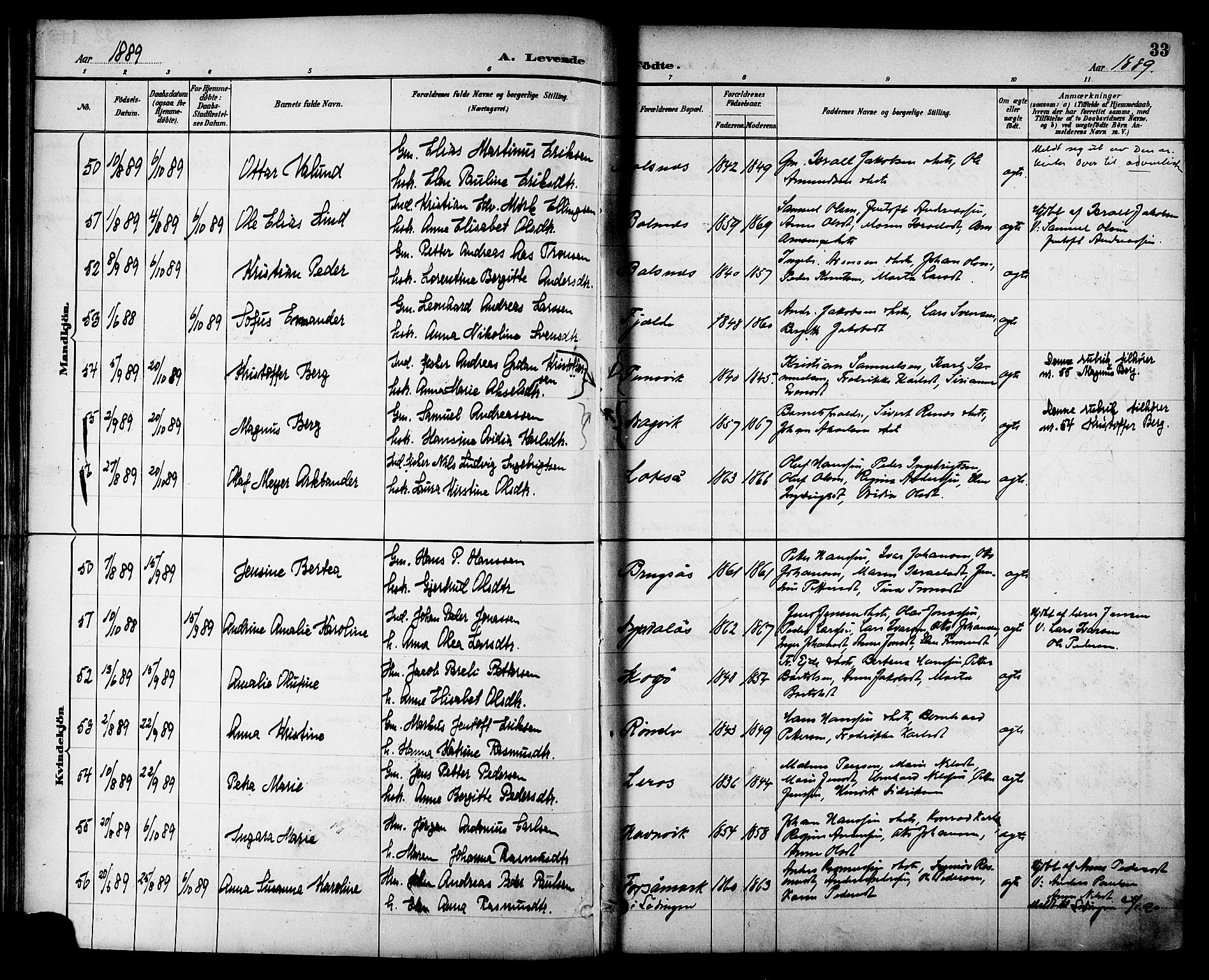 Ministerialprotokoller, klokkerbøker og fødselsregistre - Nordland, AV/SAT-A-1459/863/L0898: Parish register (official) no. 863A10, 1886-1897, p. 33