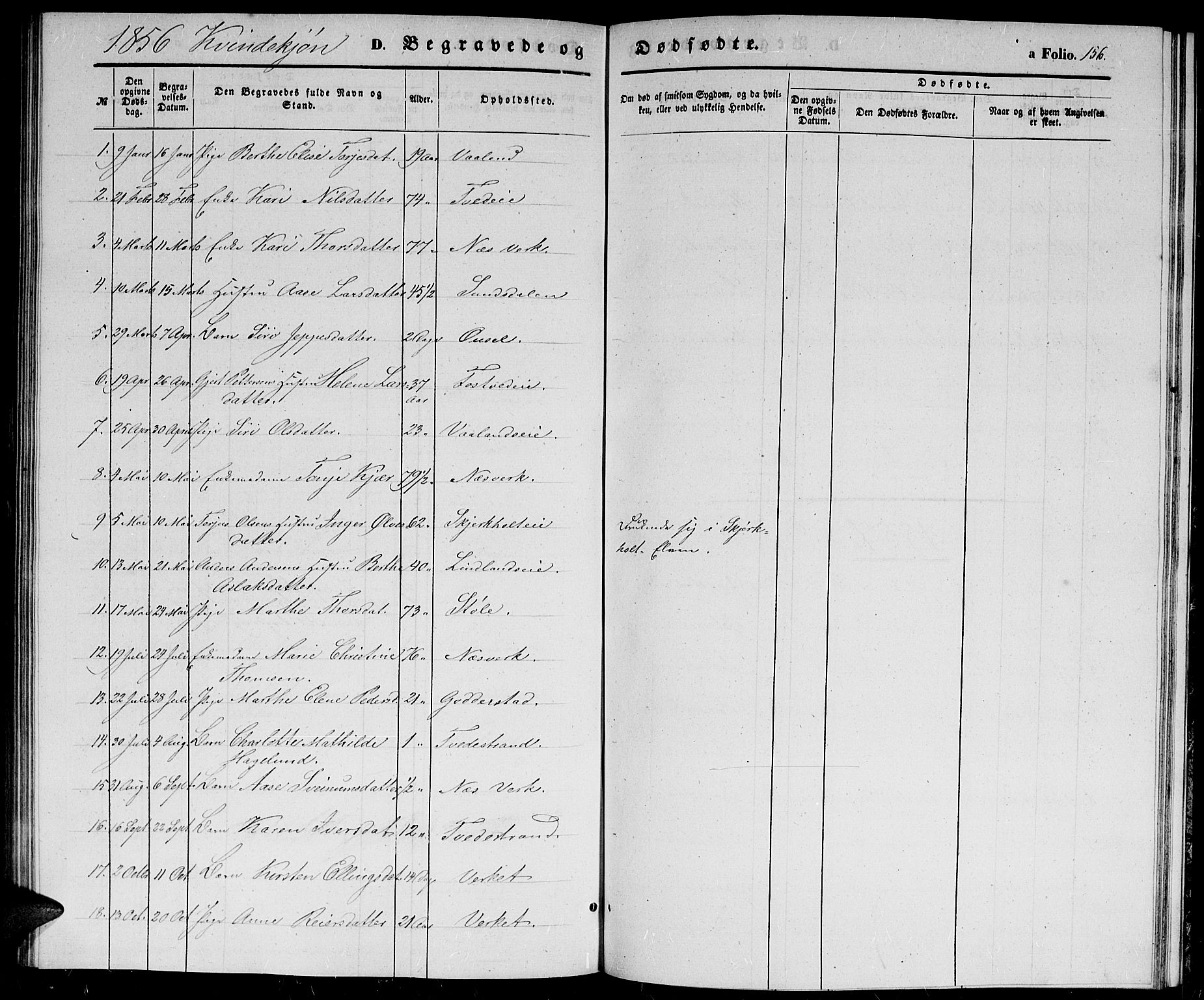 Holt sokneprestkontor, SAK/1111-0021/F/Fb/L0007: Parish register (copy) no. B 7, 1849-1858, p. 156