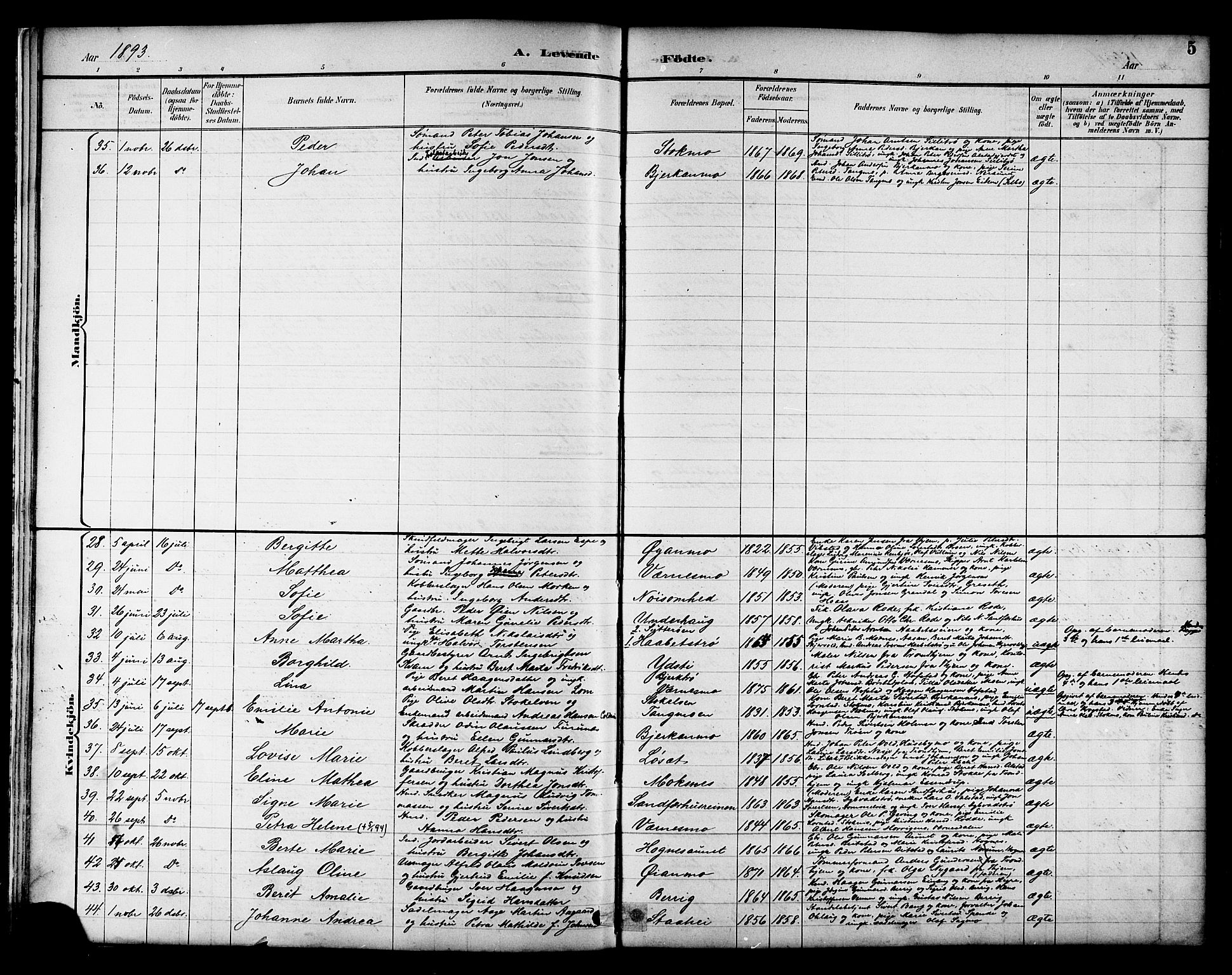 Ministerialprotokoller, klokkerbøker og fødselsregistre - Nord-Trøndelag, SAT/A-1458/709/L0087: Parish register (copy) no. 709C01, 1892-1913, p. 5
