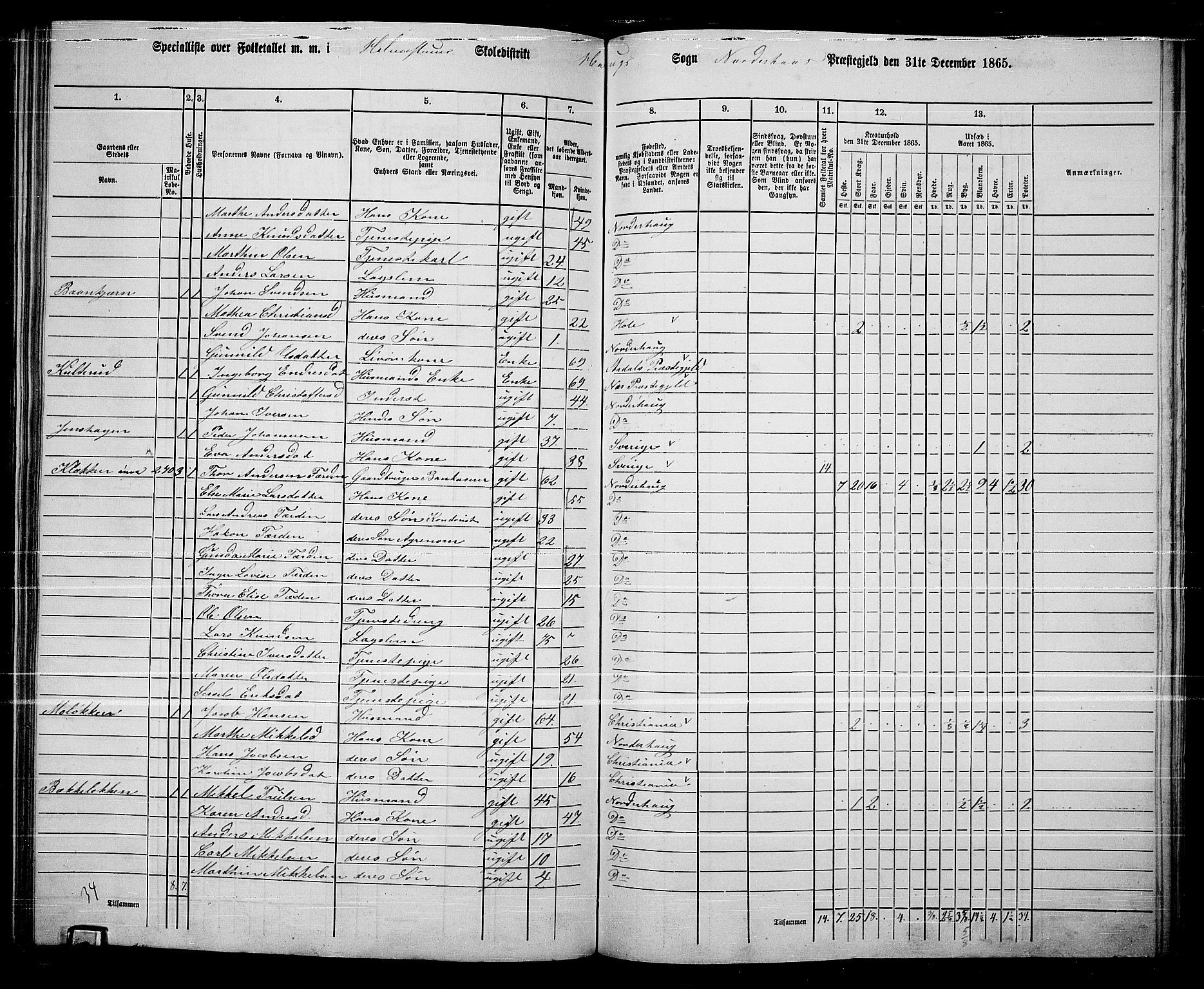 RA, 1865 census for Norderhov/Norderhov, Haug og Lunder, 1865, p. 218