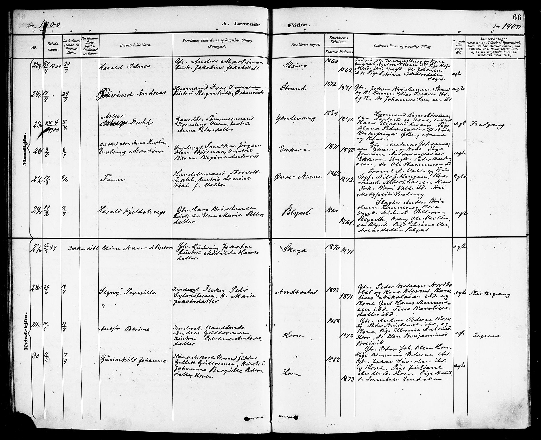 Ministerialprotokoller, klokkerbøker og fødselsregistre - Nordland, AV/SAT-A-1459/838/L0559: Parish register (copy) no. 838C06, 1893-1910, p. 66