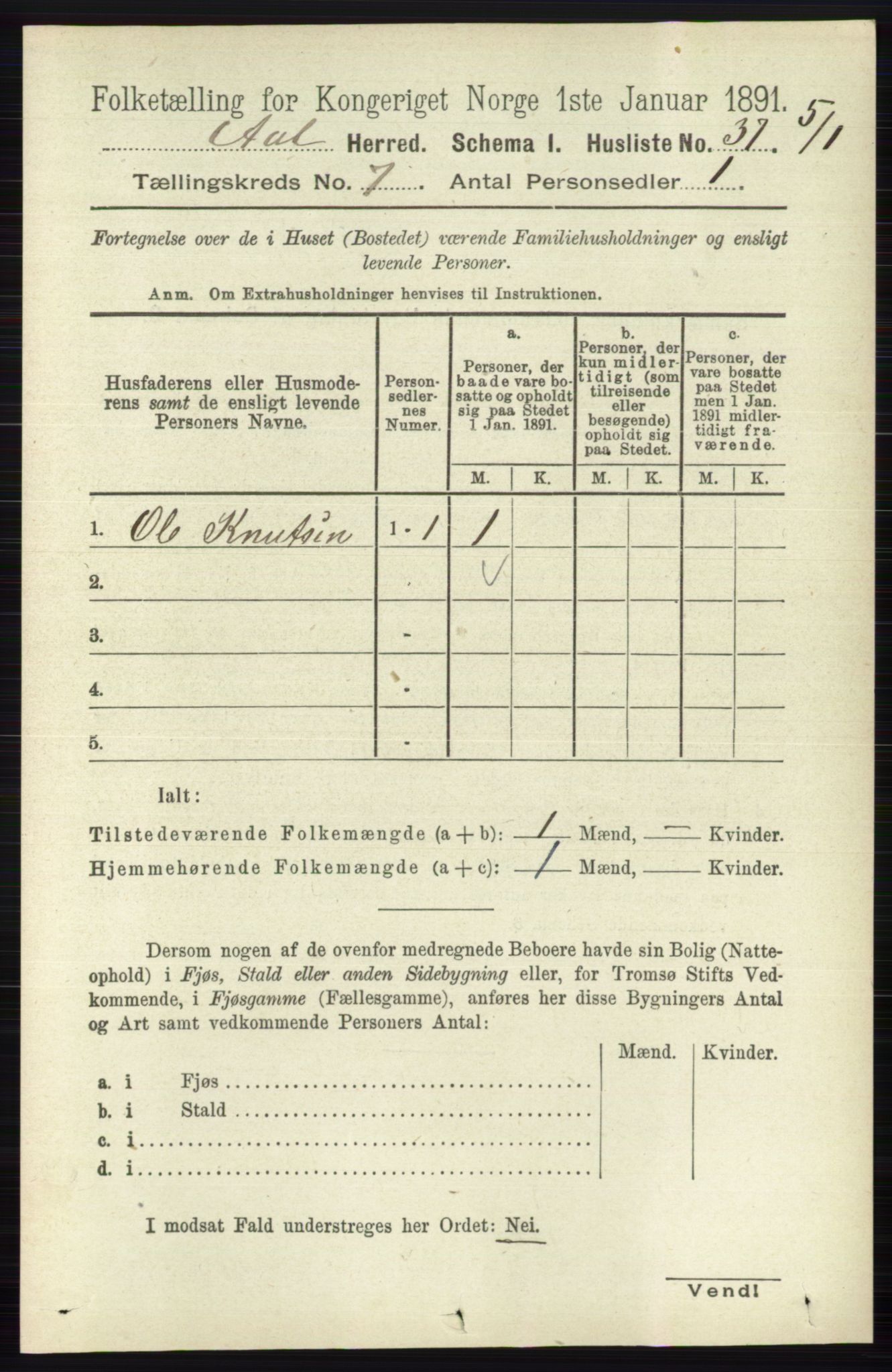 RA, 1891 census for 0619 Ål, 1891, p. 1818