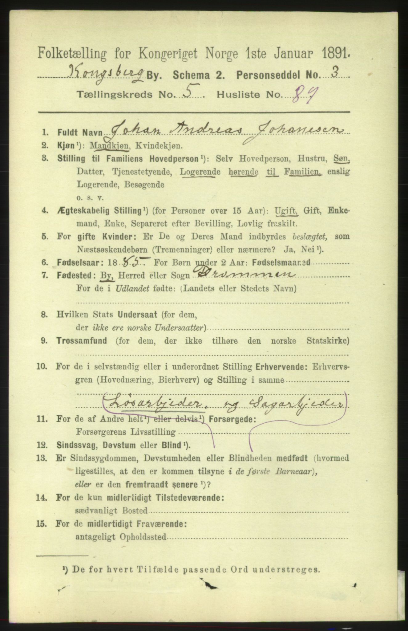 RA, 1891 census for 0604 Kongsberg, 1891, p. 4841