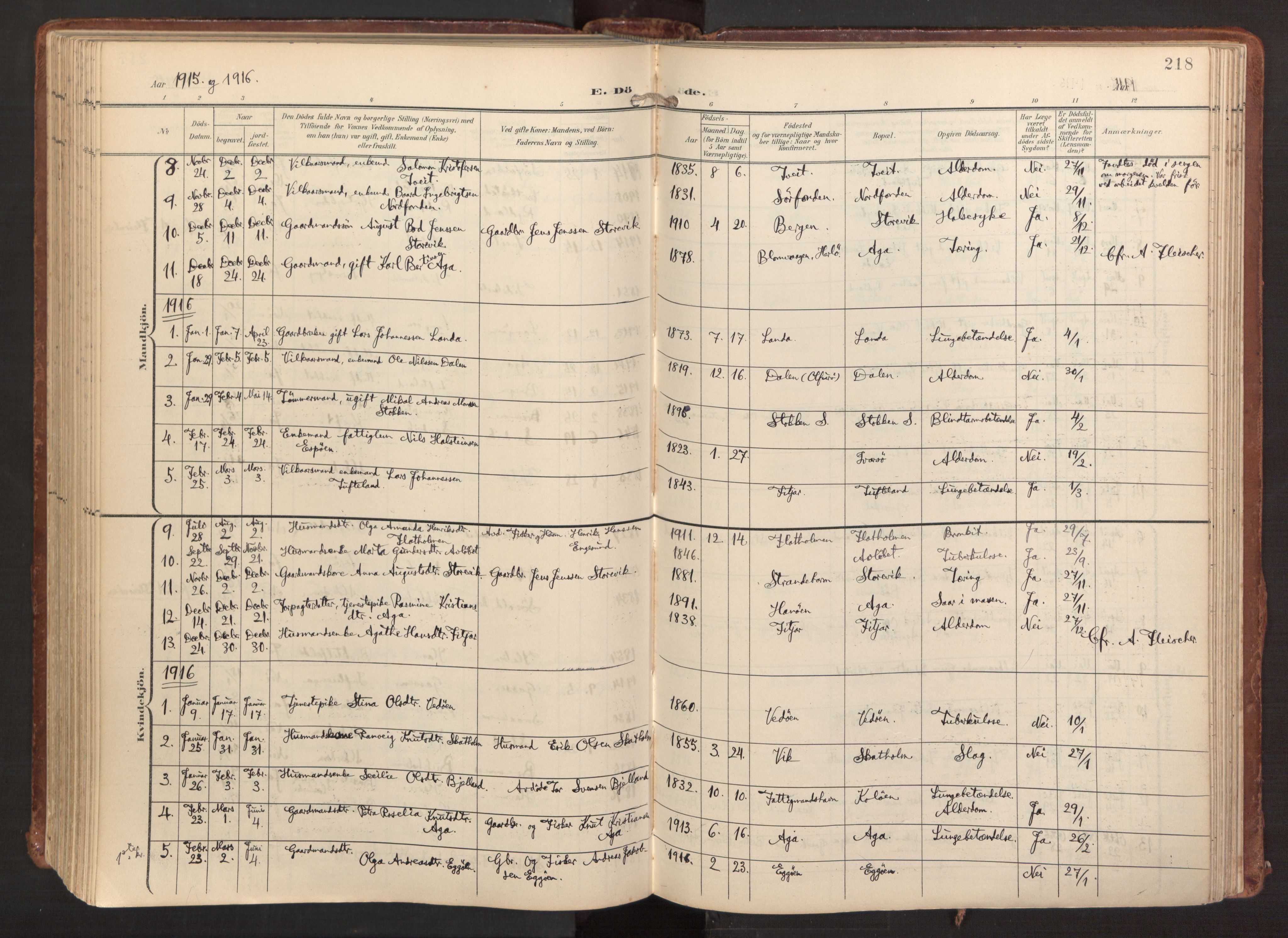 Fitjar sokneprestembete, AV/SAB-A-99926: Parish register (official) no. A 3, 1900-1918, p. 218