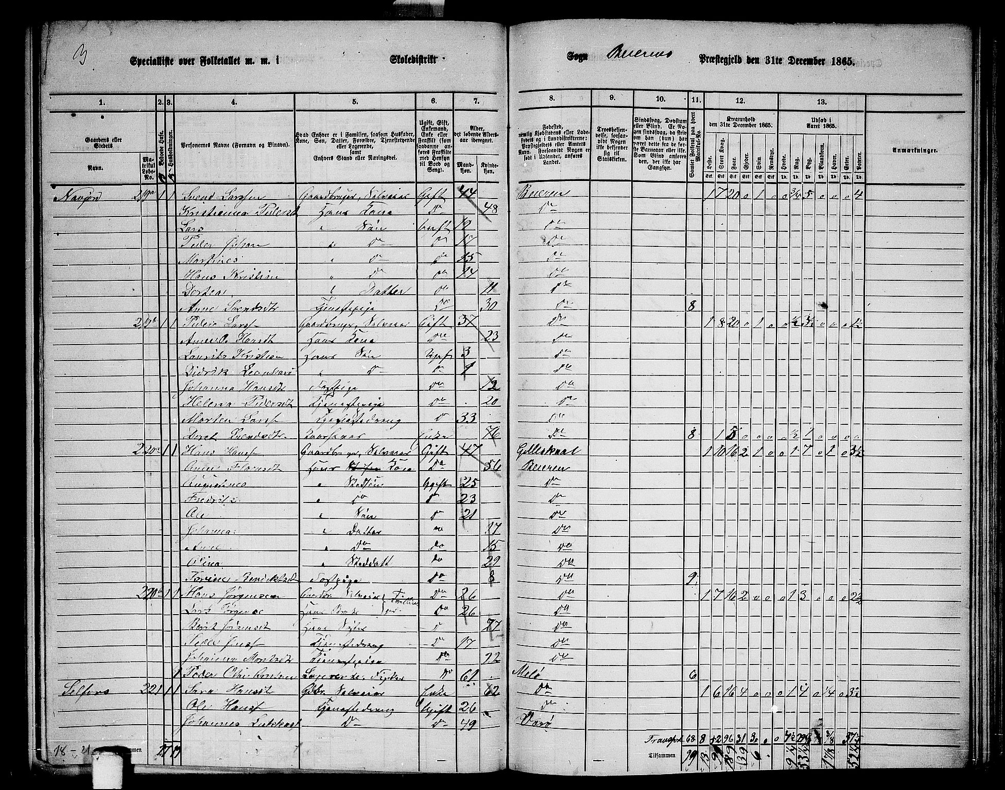 RA, 1865 census for Beiarn, 1865, p. 18