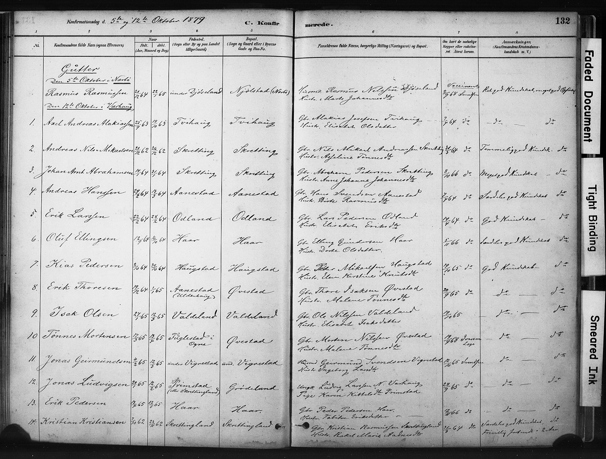 Hå sokneprestkontor, AV/SAST-A-101801/001/30BA/L0011: Parish register (official) no. A 10, 1879-1900, p. 132