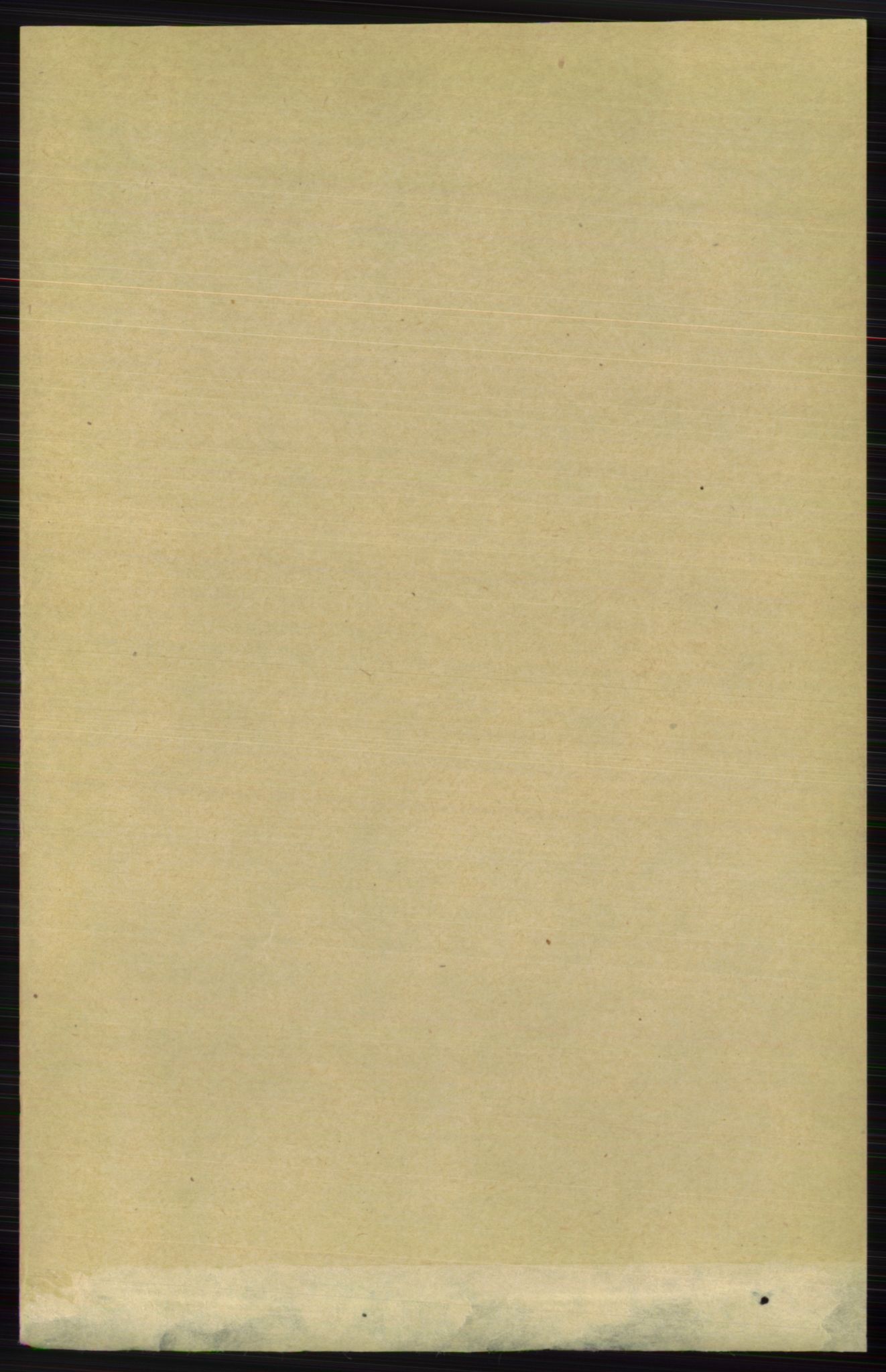 RA, 1891 census for 0728 Lardal, 1891, p. 1325