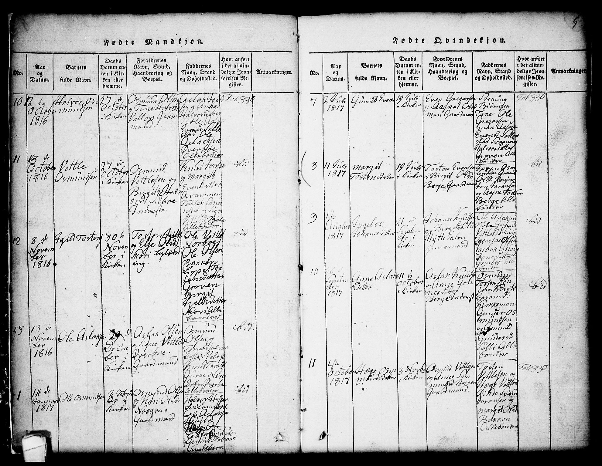 Seljord kirkebøker, SAKO/A-20/G/Gc/L0001: Parish register (copy) no. III 1, 1815-1849, p. 5