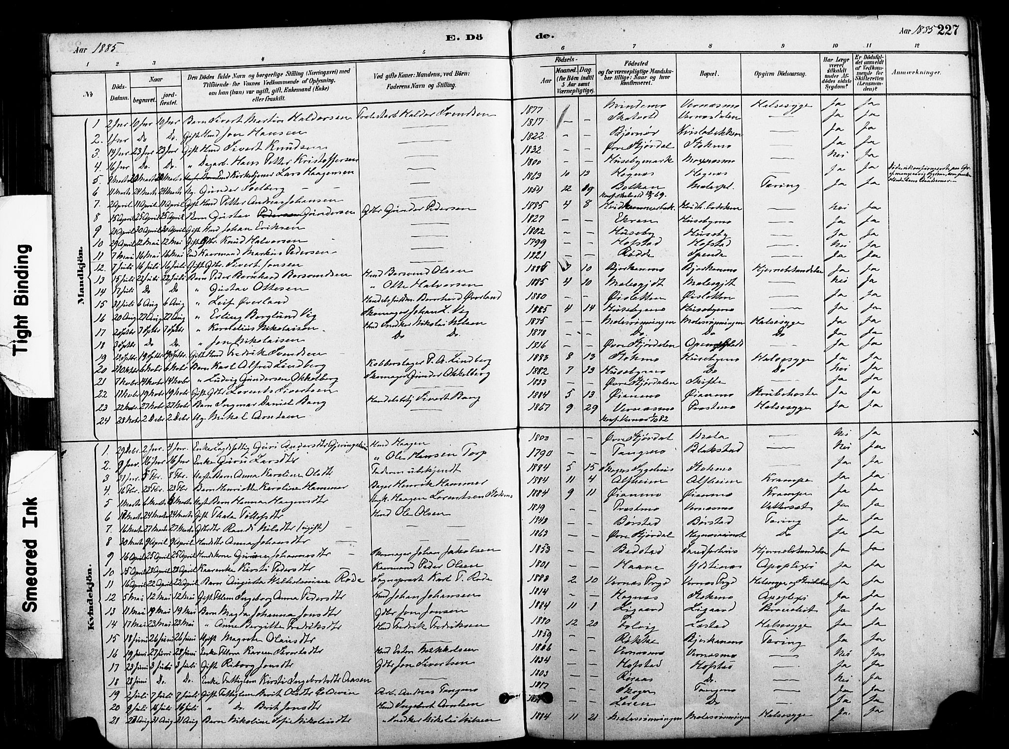 Ministerialprotokoller, klokkerbøker og fødselsregistre - Nord-Trøndelag, SAT/A-1458/709/L0077: Parish register (official) no. 709A17, 1880-1895, p. 227