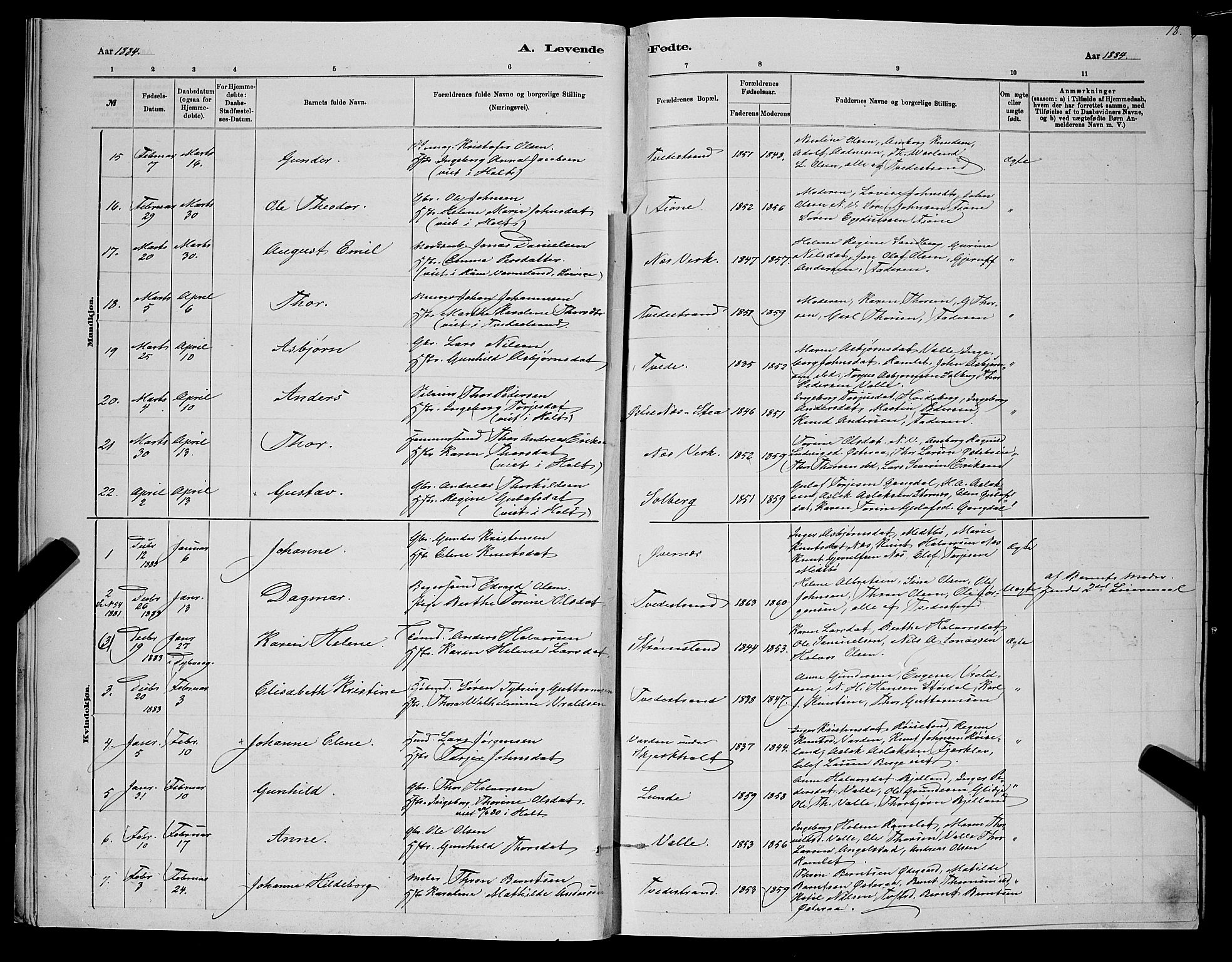 Holt sokneprestkontor, SAK/1111-0021/F/Fb/L0010: Parish register (copy) no. B 10, 1883-1896, p. 18