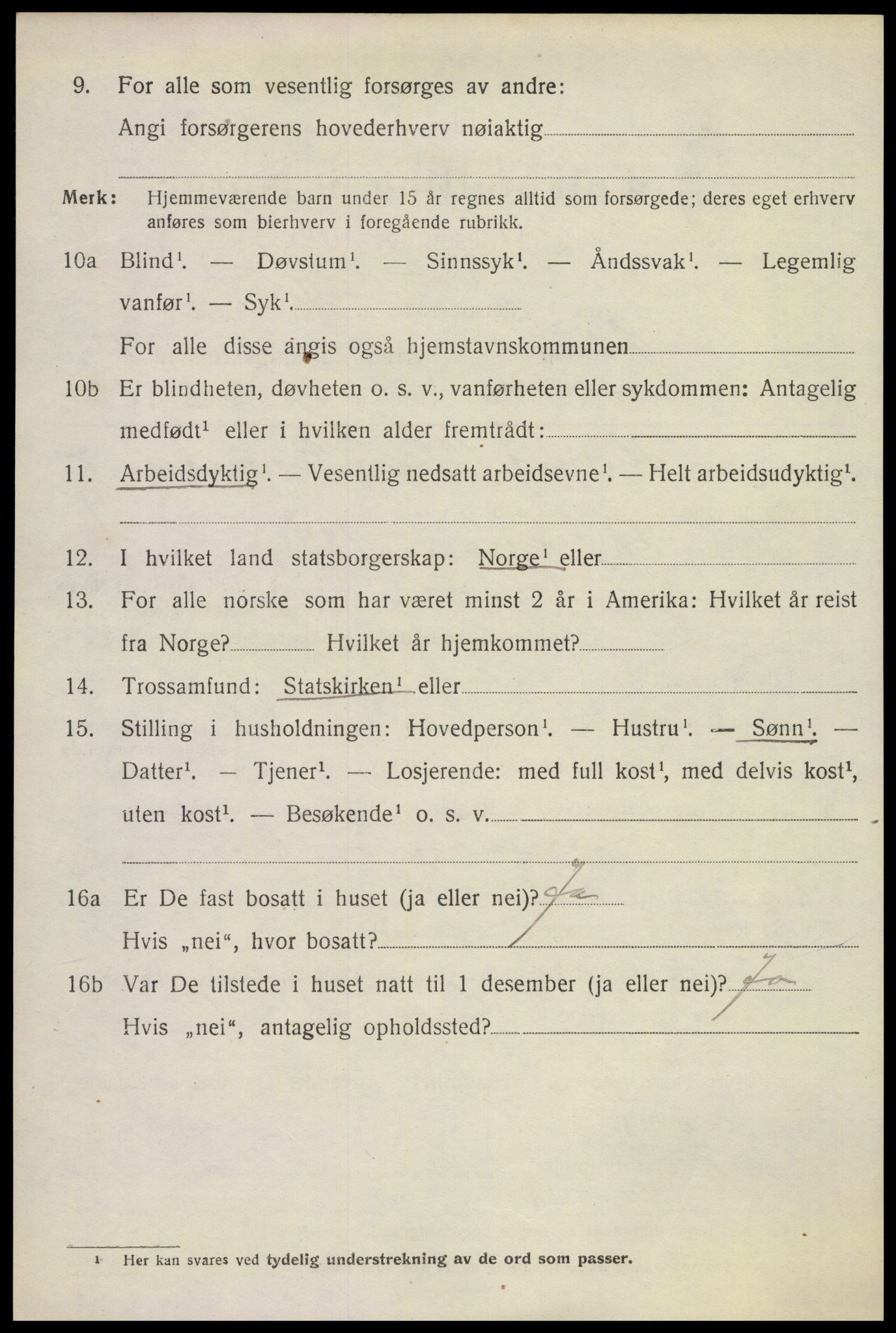 SAKO, 1920 census for Solum, 1920, p. 17509