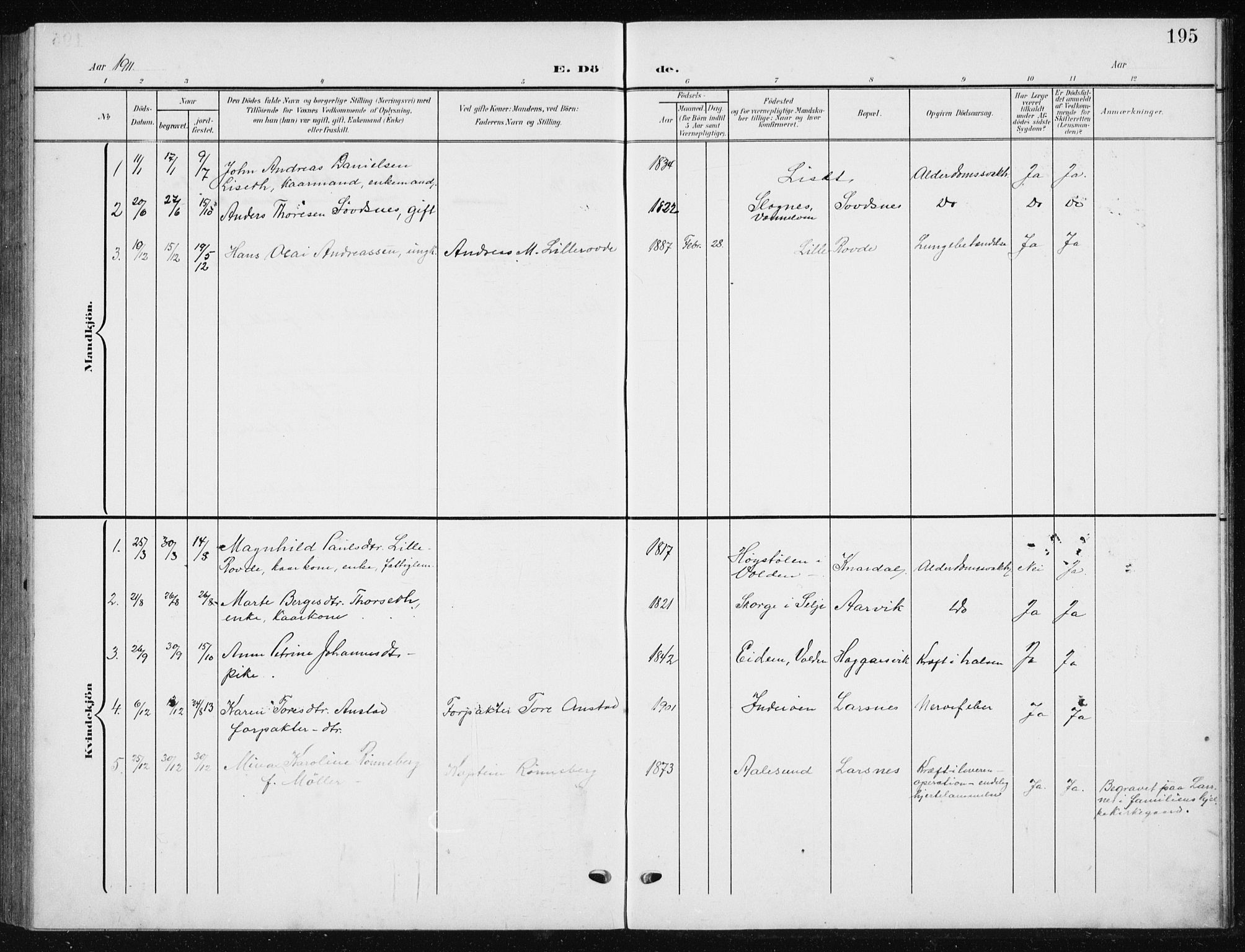 Ministerialprotokoller, klokkerbøker og fødselsregistre - Møre og Romsdal, AV/SAT-A-1454/504/L0061: Parish register (copy) no. 504C03, 1902-1940, p. 195