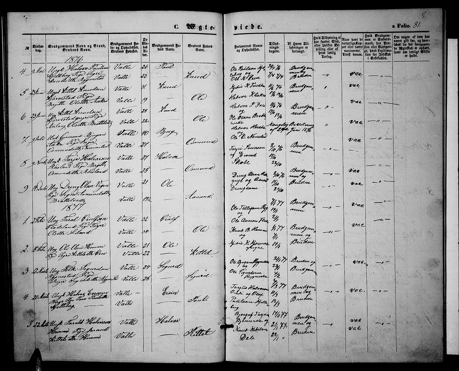 Valle sokneprestkontor, SAK/1111-0044/F/Fb/Fbc/L0003: Parish register (copy) no. B 3, 1871-1890, p. 81