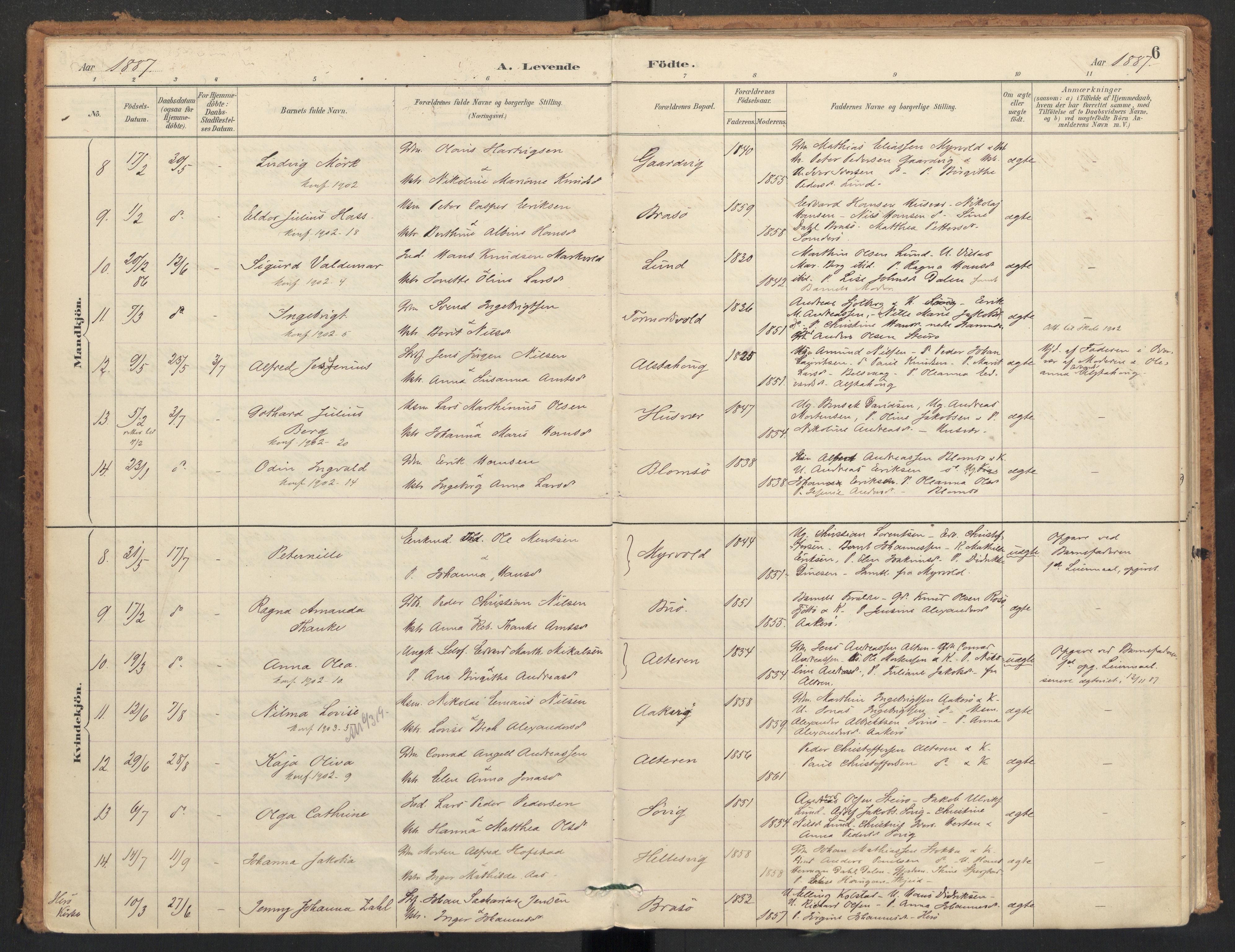 Ministerialprotokoller, klokkerbøker og fødselsregistre - Nordland, AV/SAT-A-1459/830/L0453: Parish register (official) no. 830A17, 1886-1911, p. 6