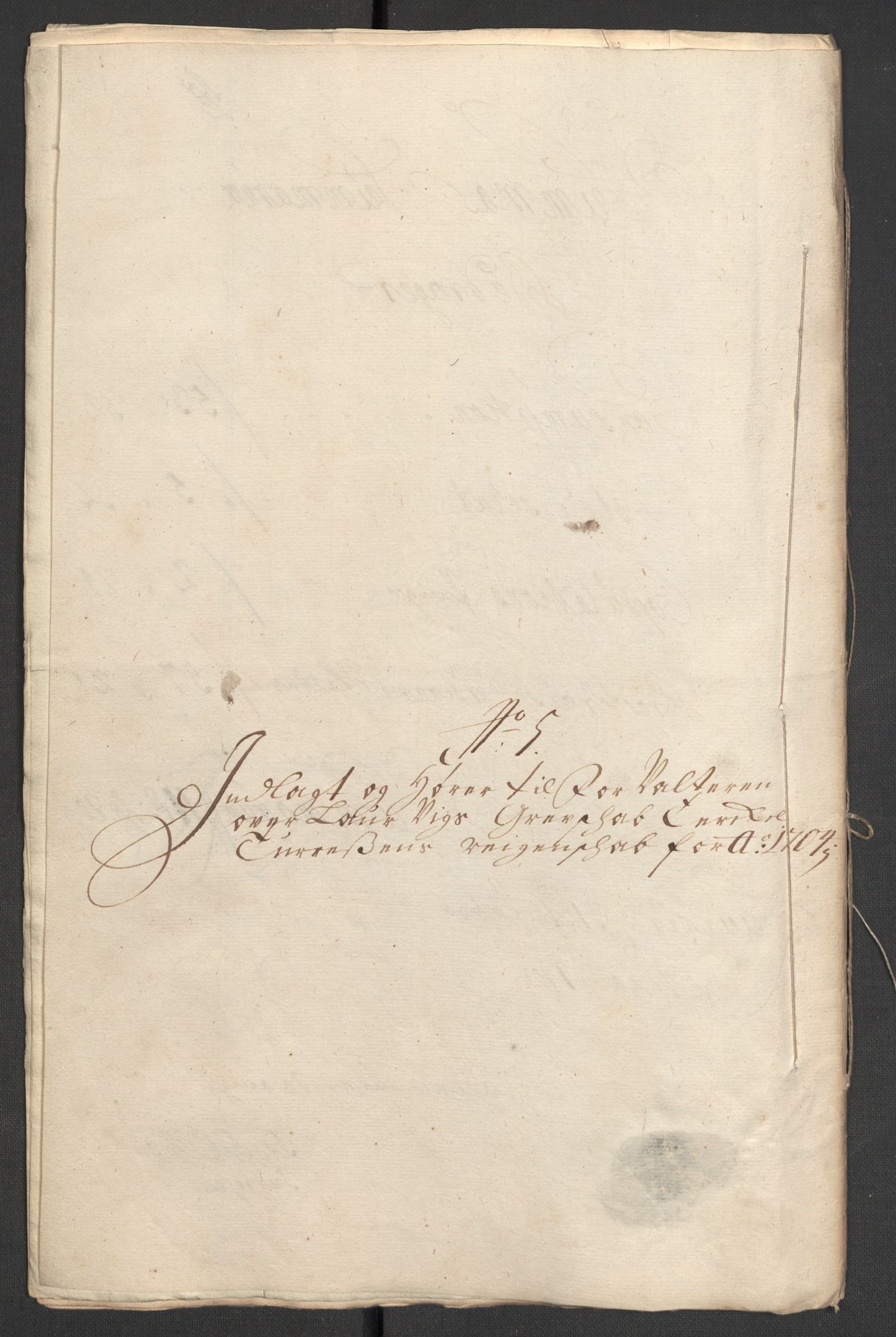 Rentekammeret inntil 1814, Reviderte regnskaper, Fogderegnskap, RA/EA-4092/R33/L1978: Fogderegnskap Larvik grevskap, 1704-1705, p. 162